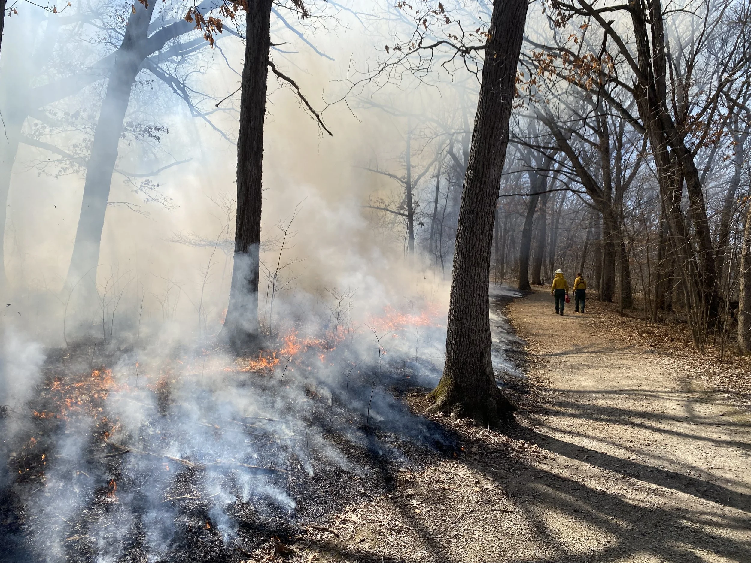 FoHP Volunteer Workday