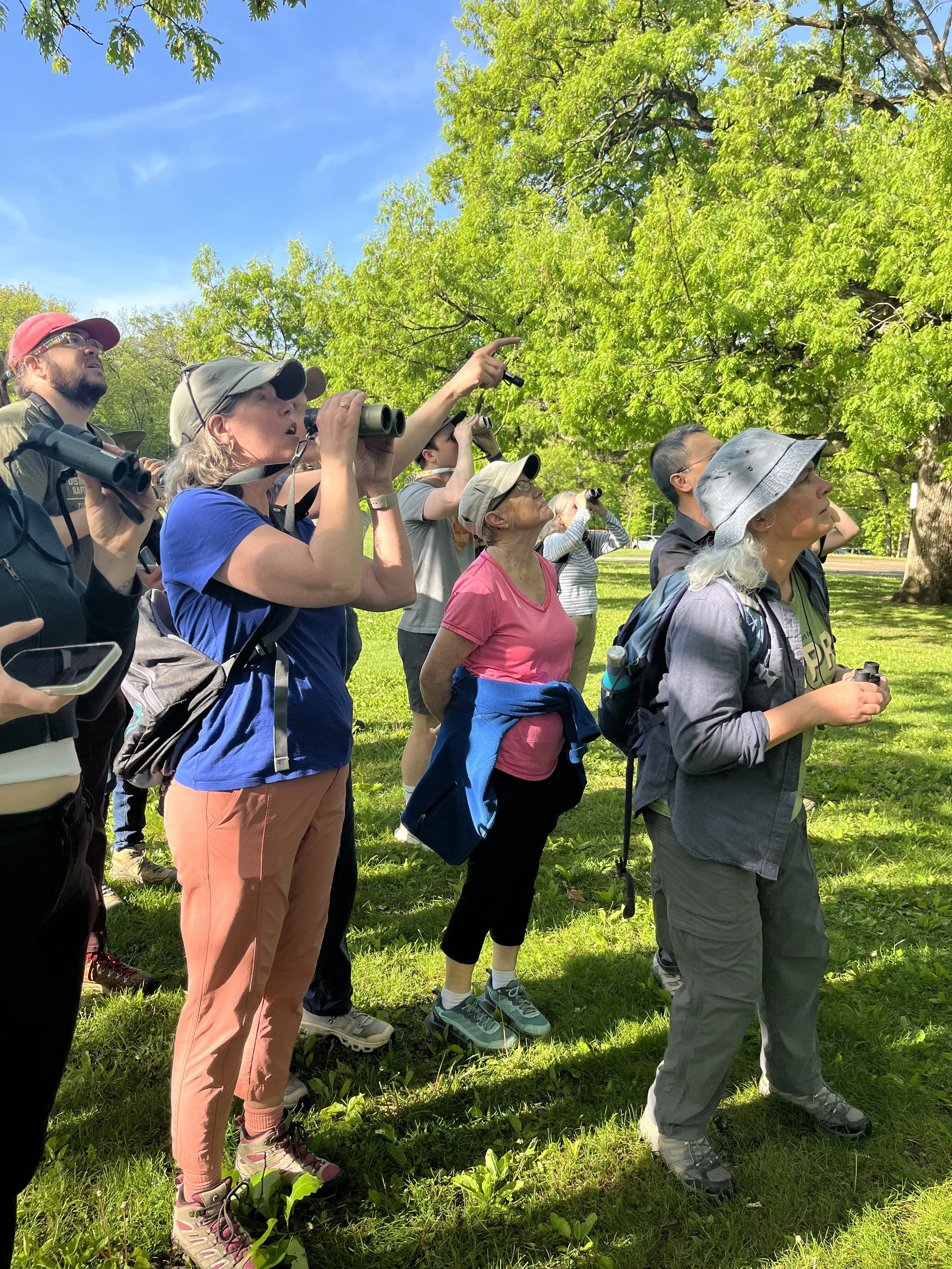 Guided Birding Walk- Fall Migrants