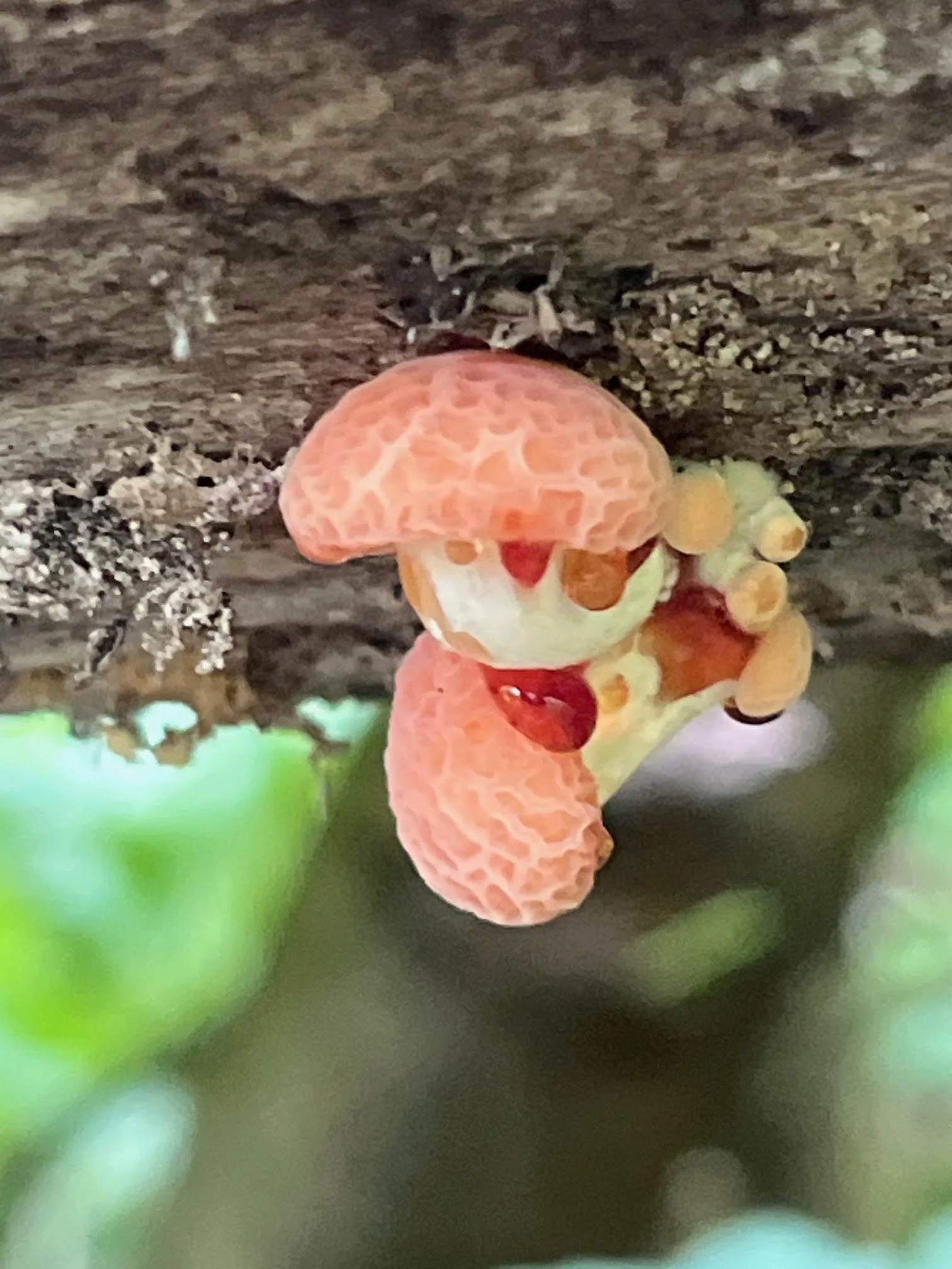 Third Thursday Nature Walk Series- September 