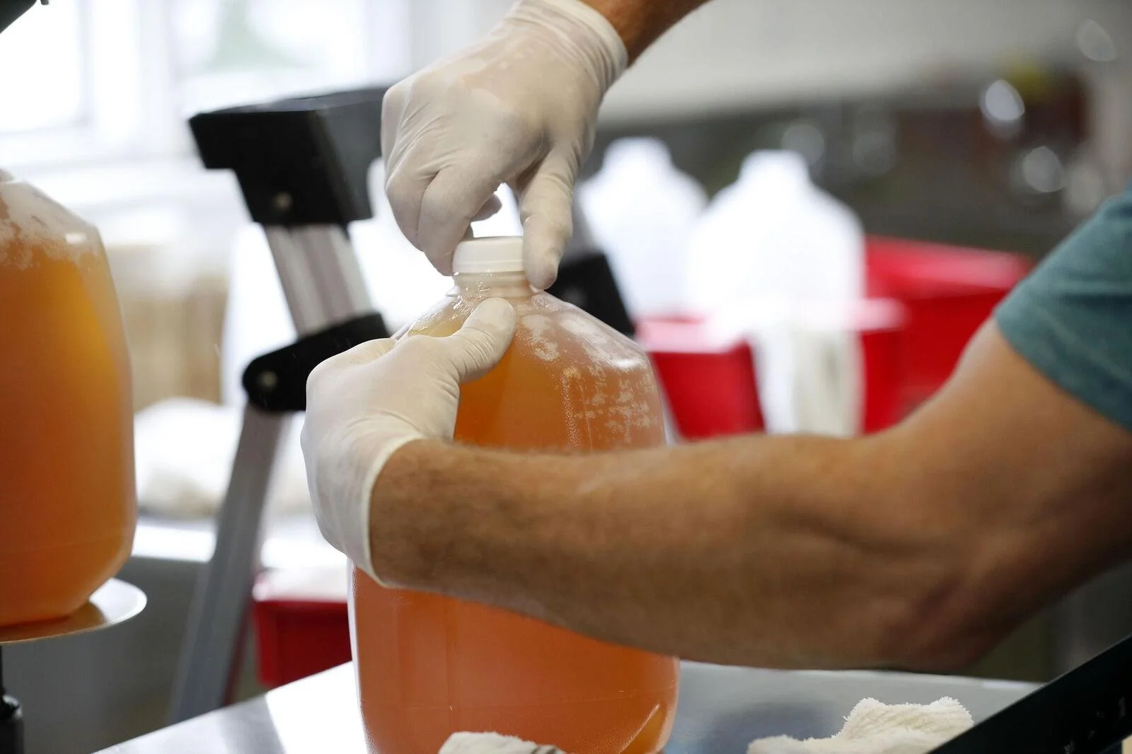 Images provided by The Buffalo News - Mark Mulville