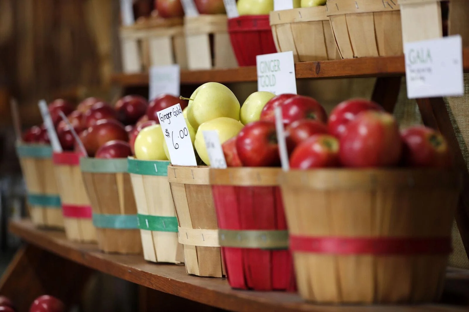 Images provided by The Buffalo News - Mark Mulville