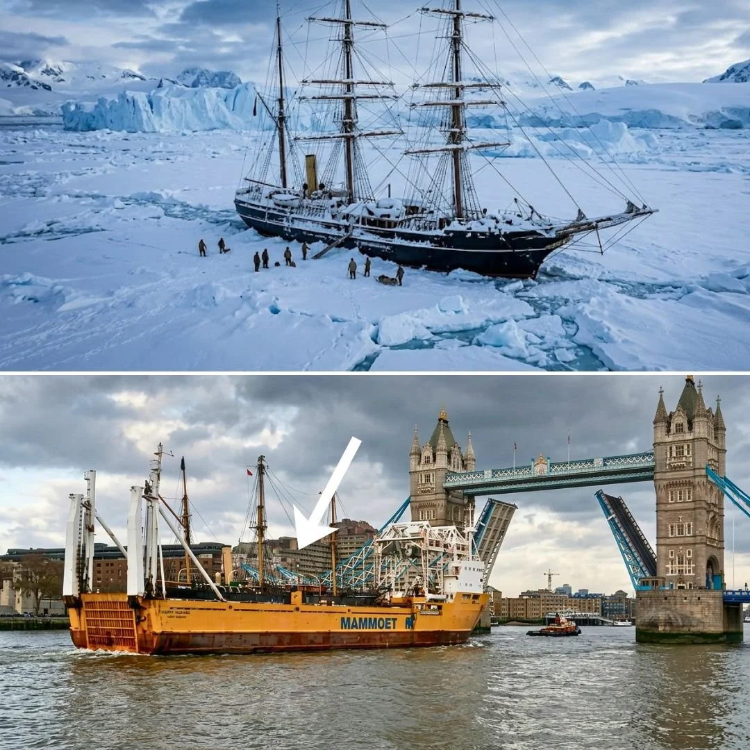 RRS Discovery