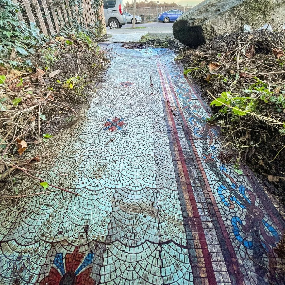 Well Preserved Mosaic Discovered In Bangor 