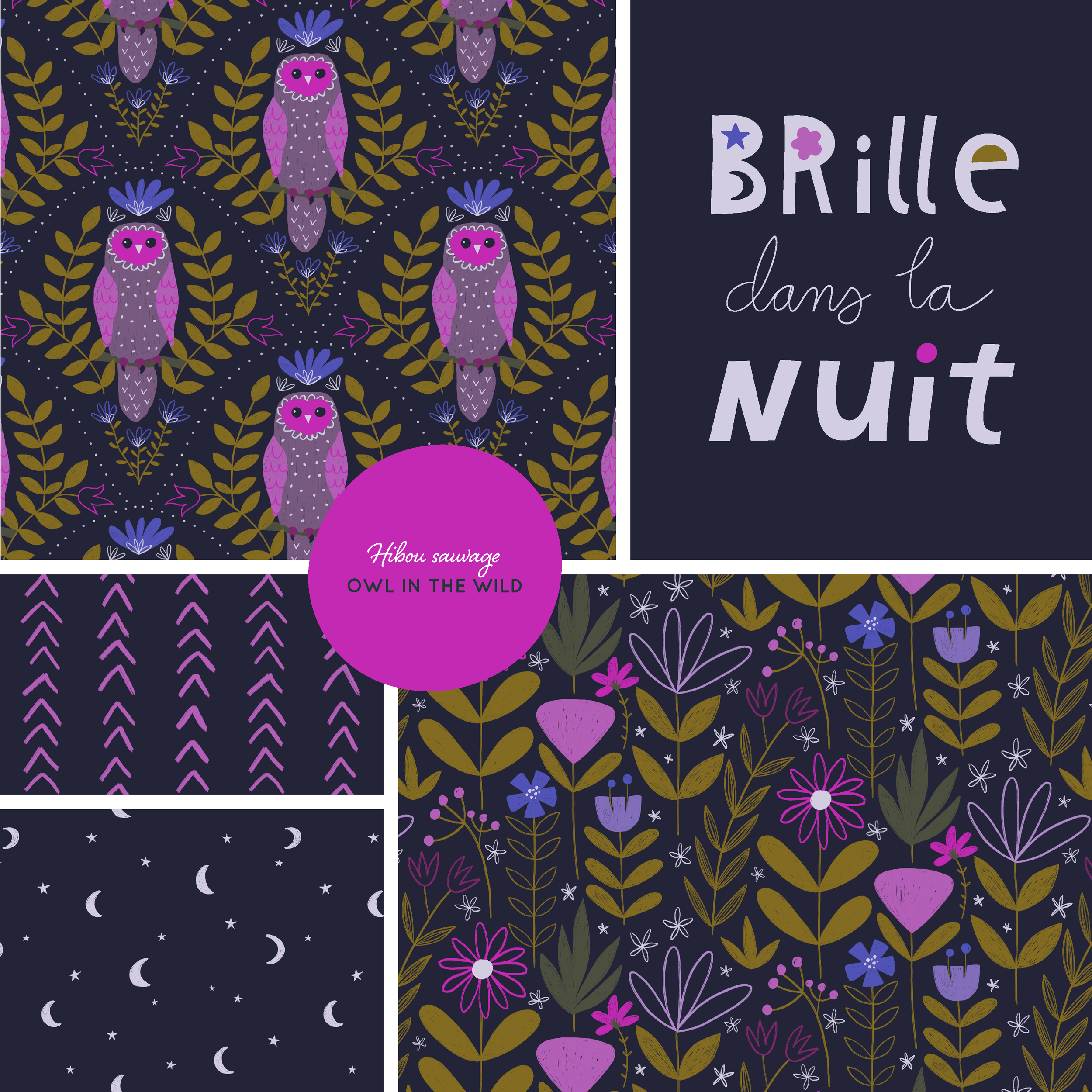 Portfolio-Owl in the Wild.png