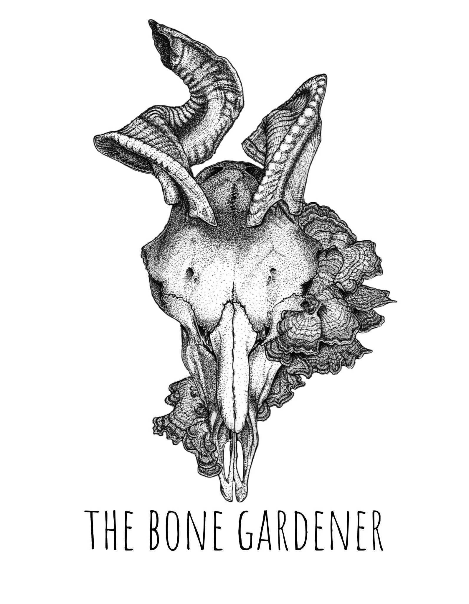 The Bone Gardener logo, and illustrative black and white image of a ram skull