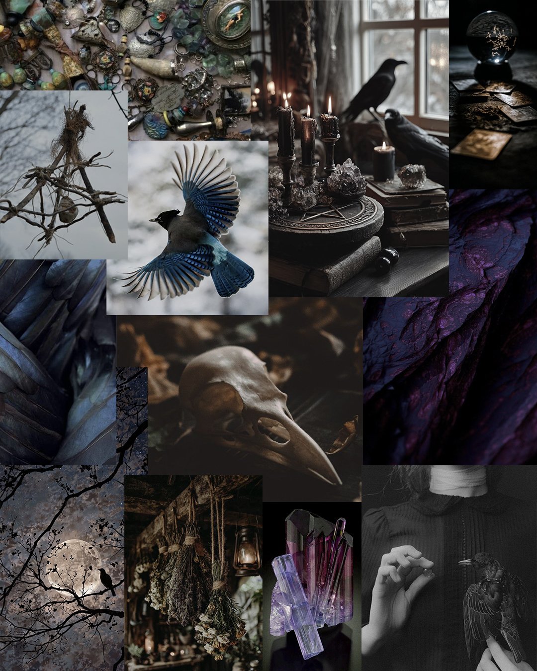 A collage of images including a crow skull, purple obsidian, close ups of raven feathers, hanging herbs, a flying stellar jay, dripping black candles, a crystal ball with tarot cards, trinkets like keys and teeth
