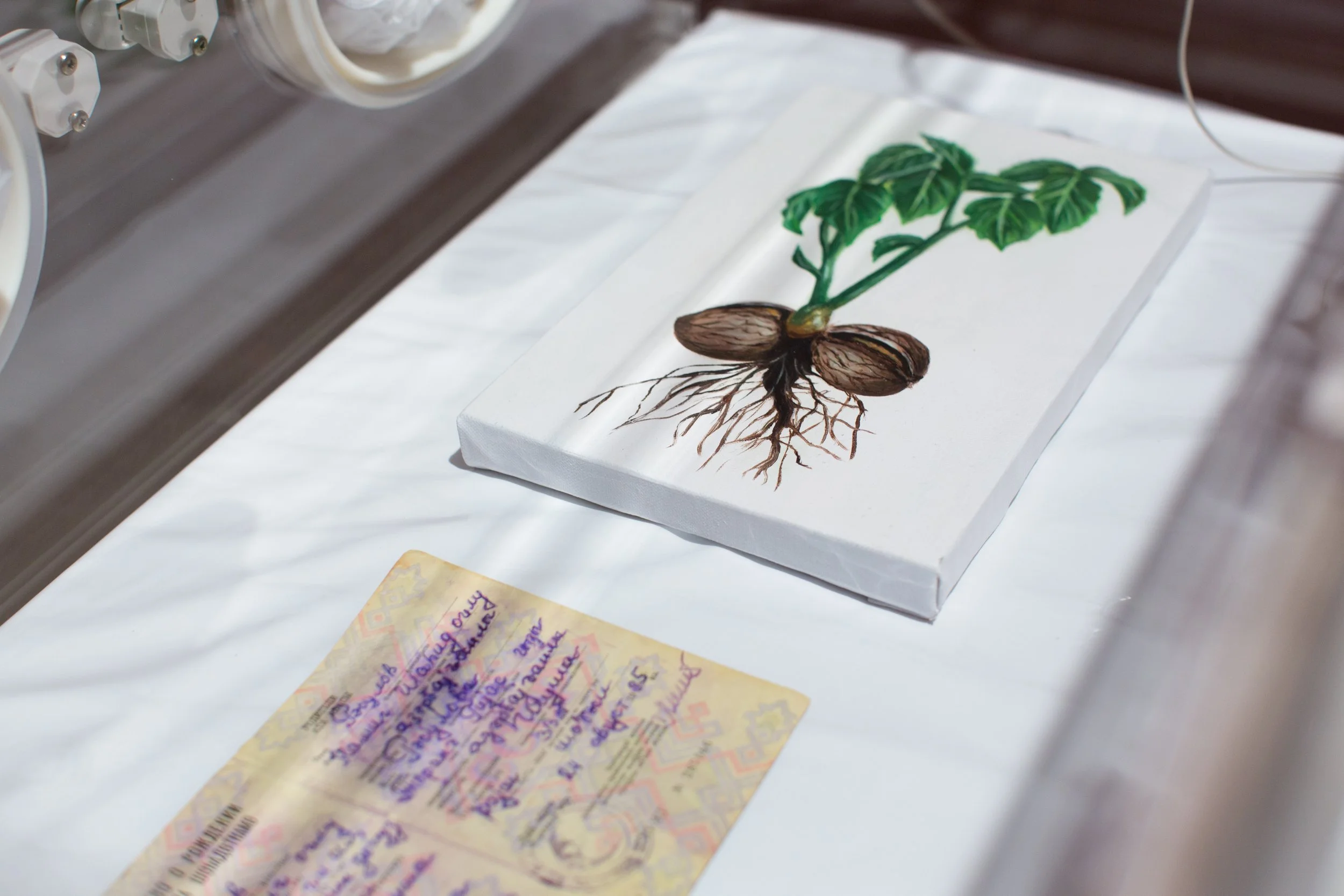 Game of walnuts, incubator, birth certificate, oil on canvas(1).jpg