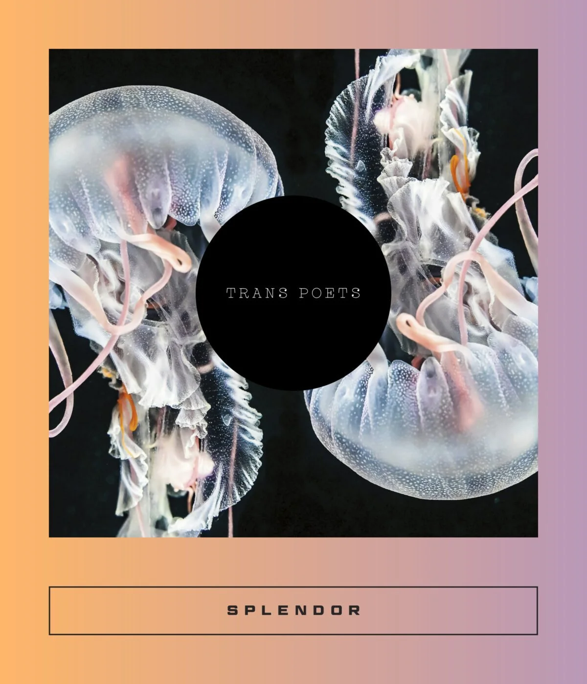 Ida Hove Solberg - excerpts from The Last Hare (Var det grønt) - published in Splendor by Two Lines Press, September 2026