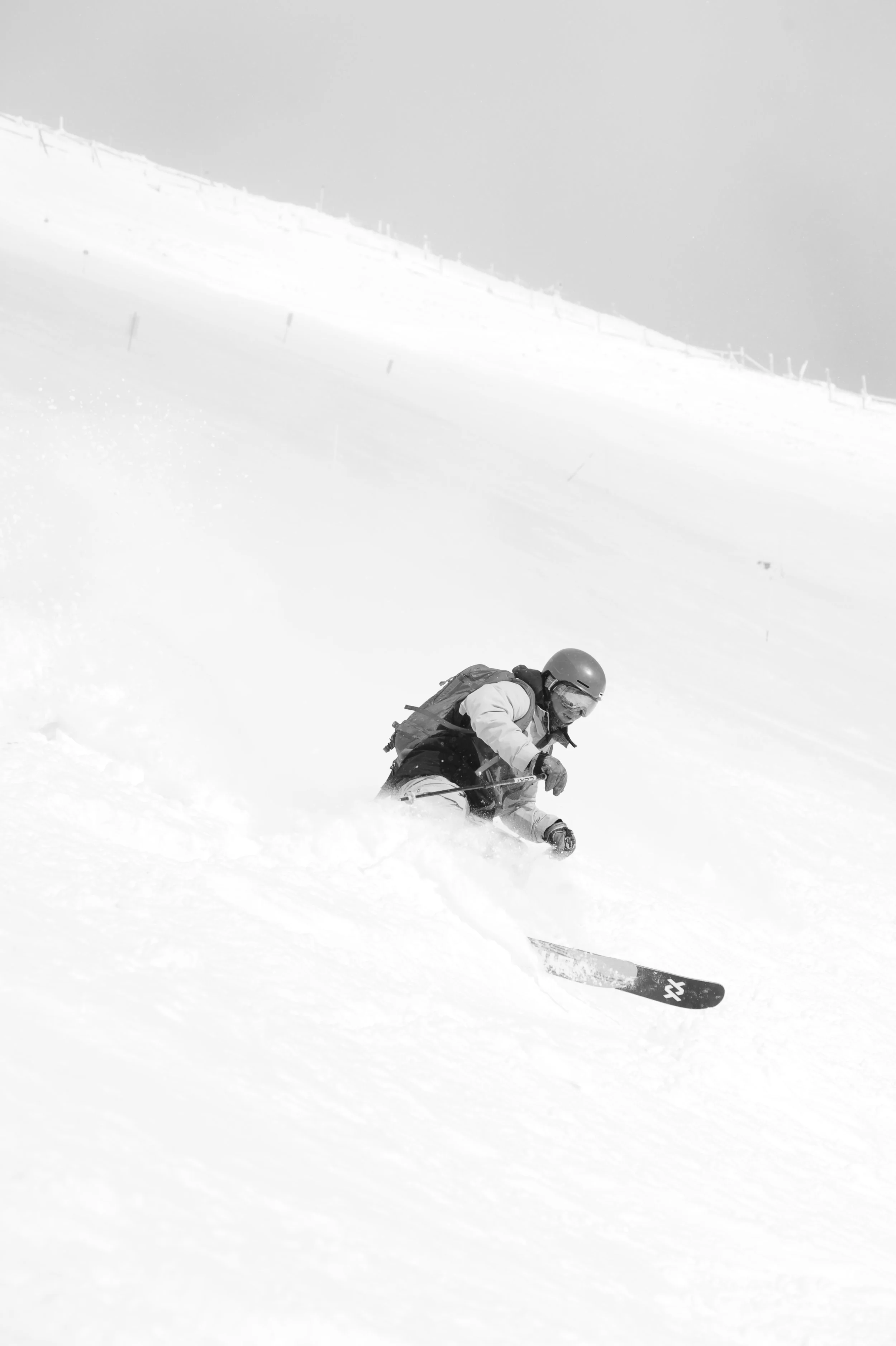 DSC_6544.JPG