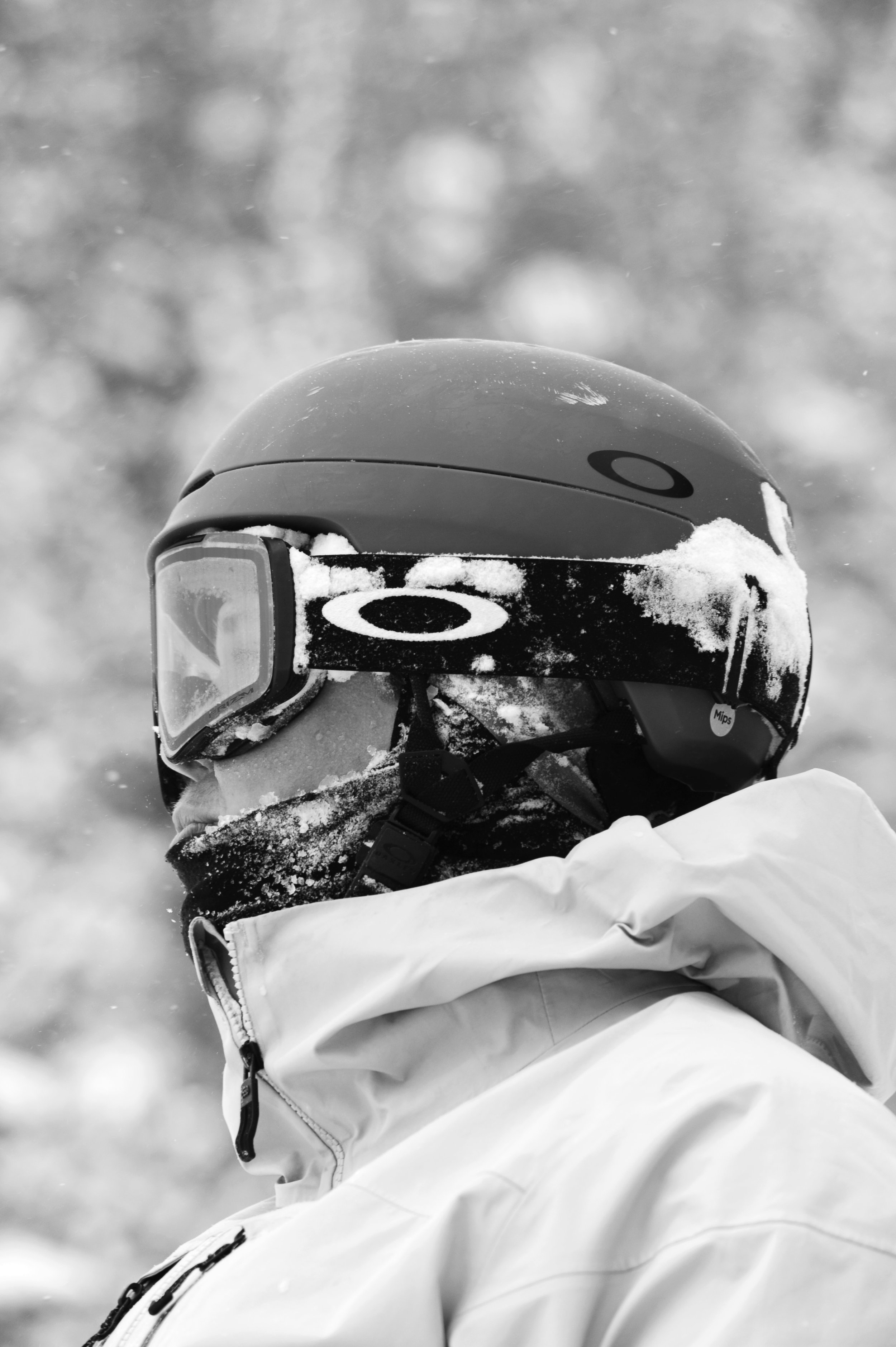 DSC_9809.JPG