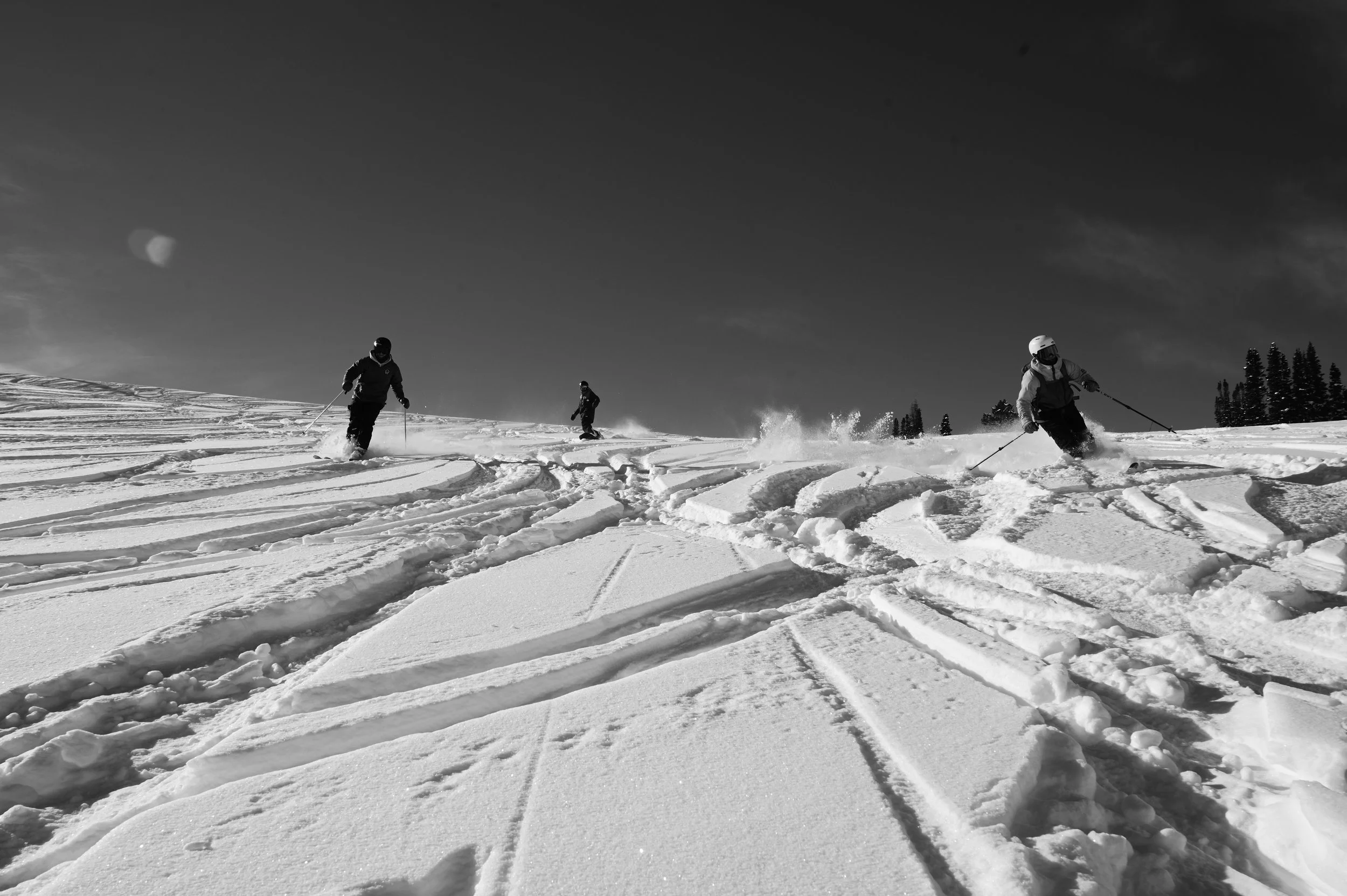 DSC_1657.JPG