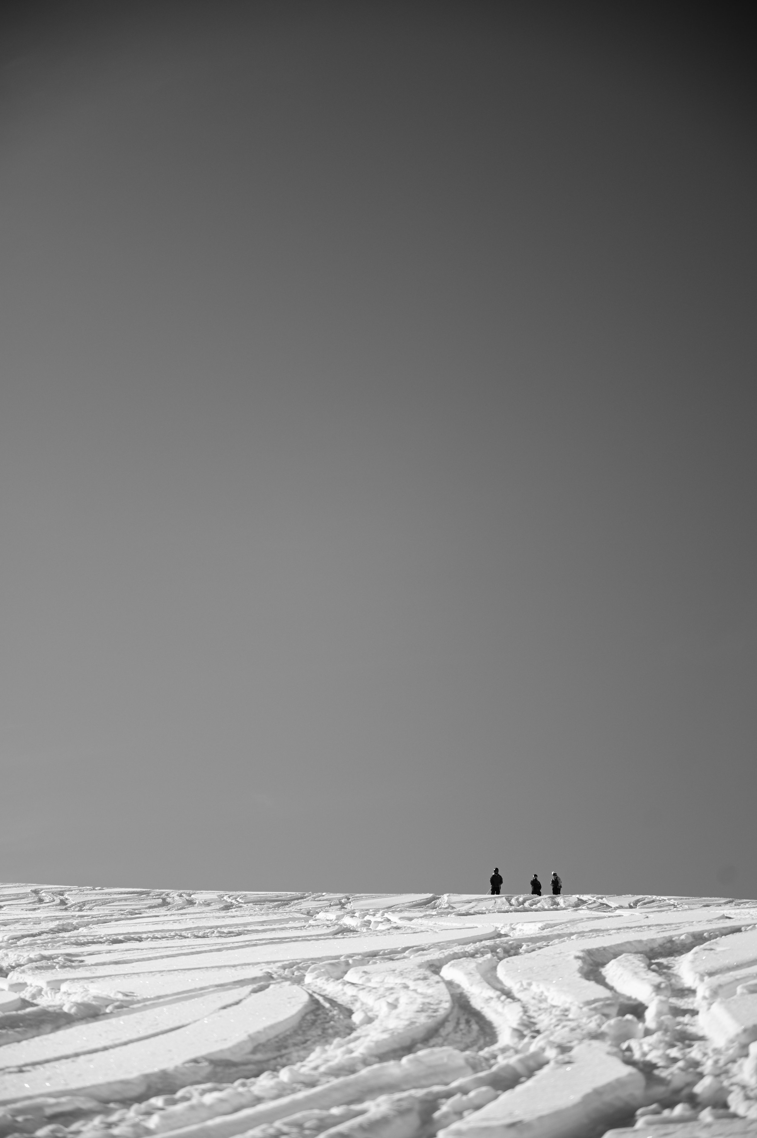 DSC_1633.JPG