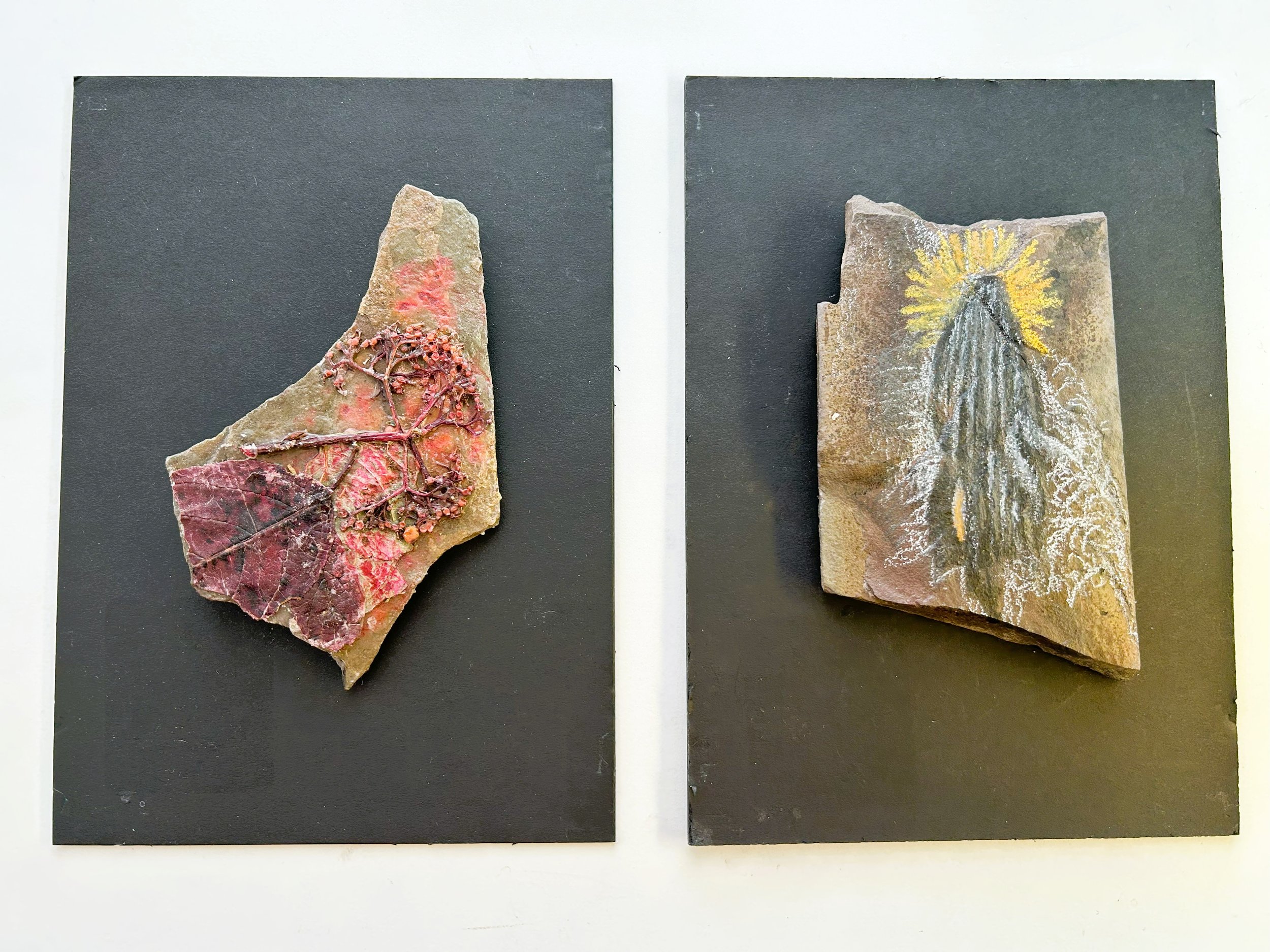 Dogwood Rock & Grace Rock
•
Dried Specimen and India ink on slate / Pencil crayon and glaze on slate
•
5x7 & 5x7 inches (not for sale)