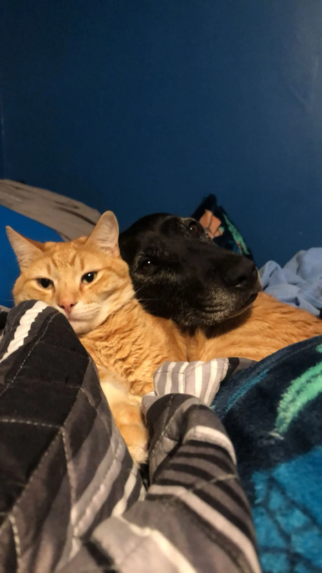 Luna’s Heart & Hope Bundle: Decal, Beaded Pen, & Keychain Set (Image Is an Example)