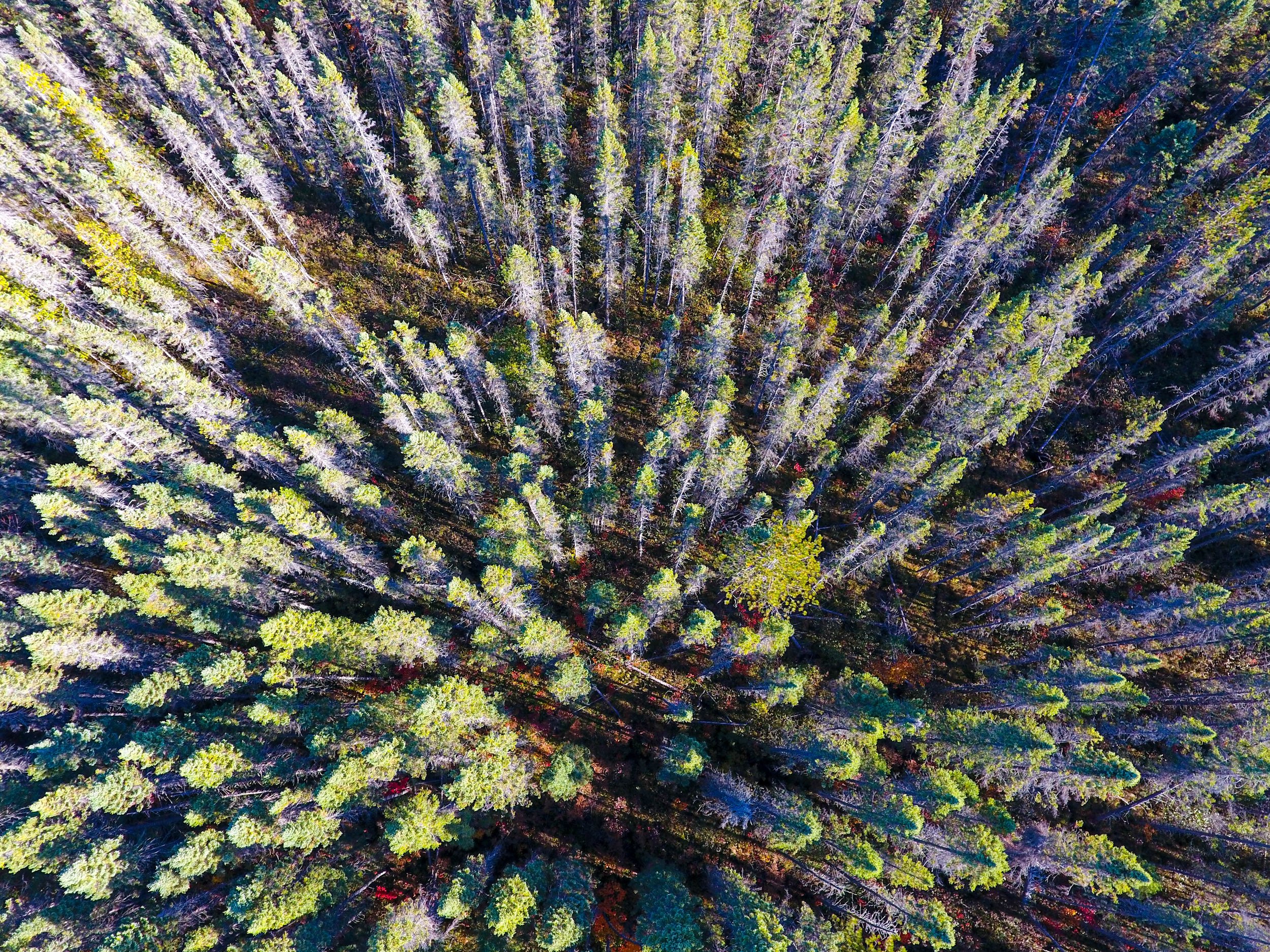DJI_0023.jpg