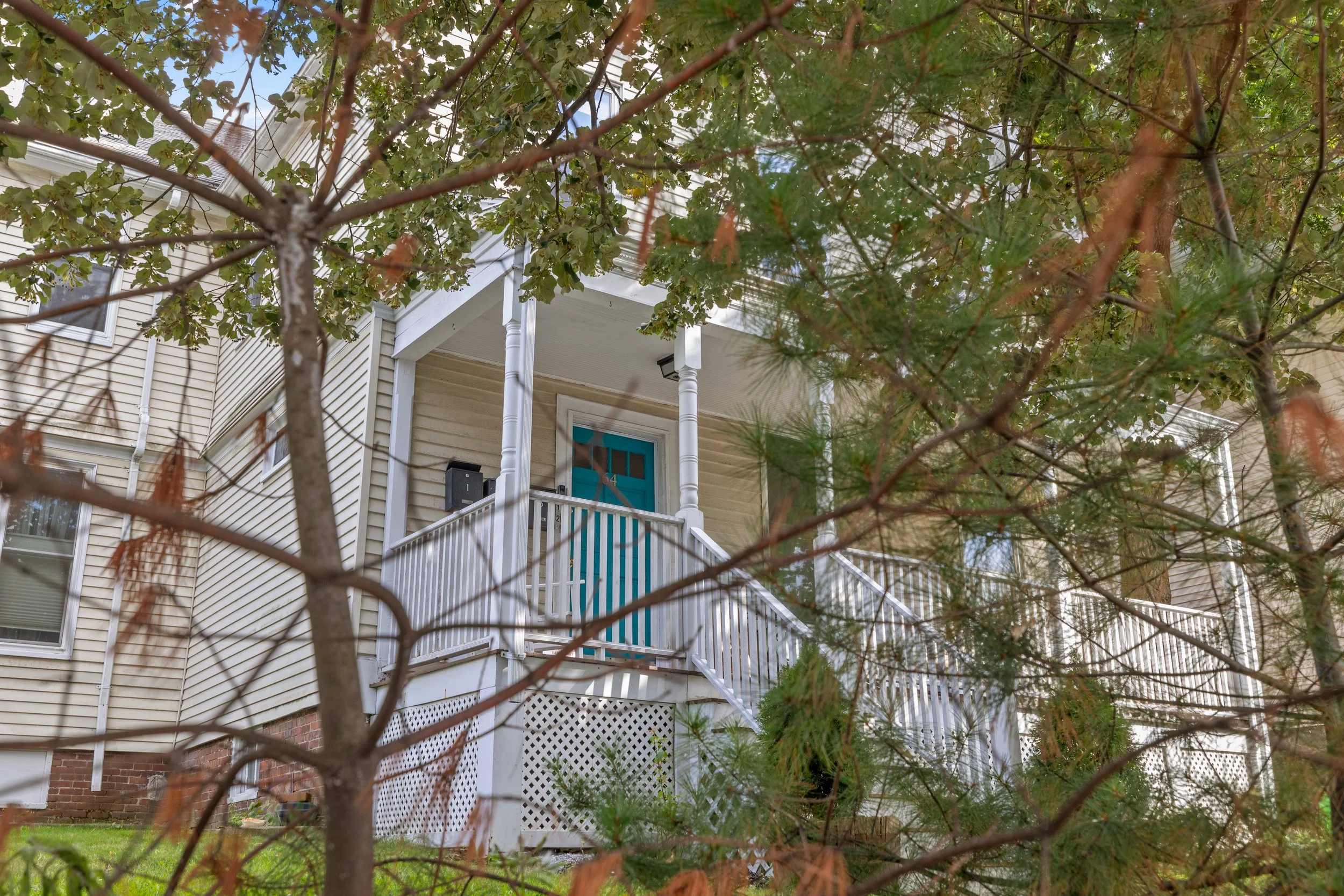 64 Hyde Park - exterior thru trees.jpg