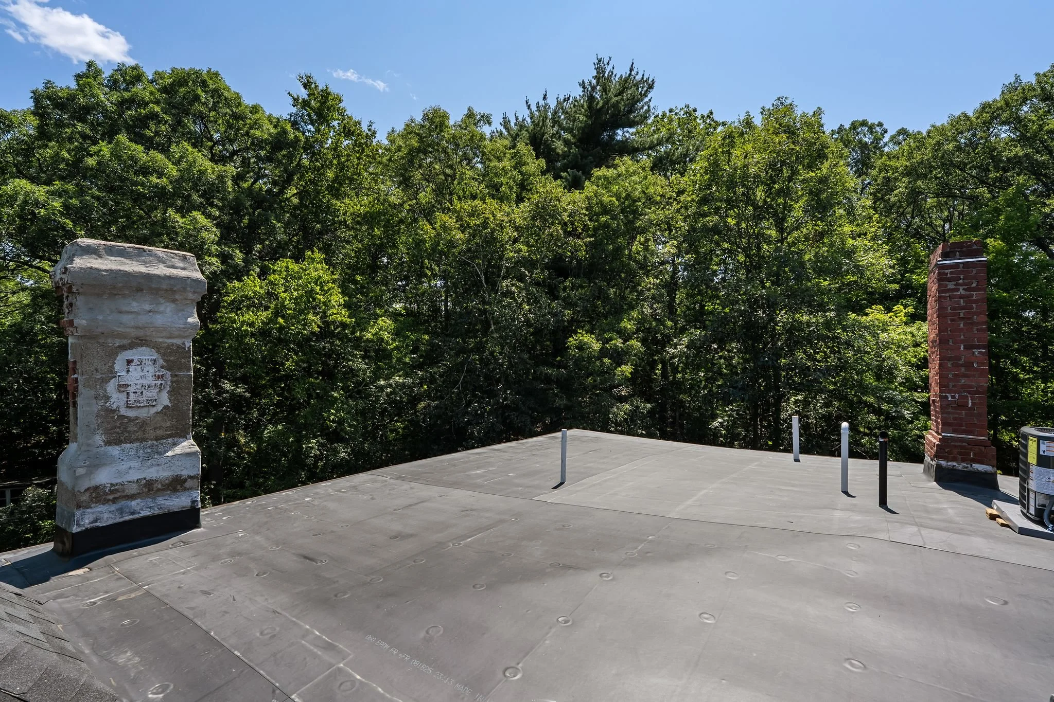 Yale Ter.-48.jpg