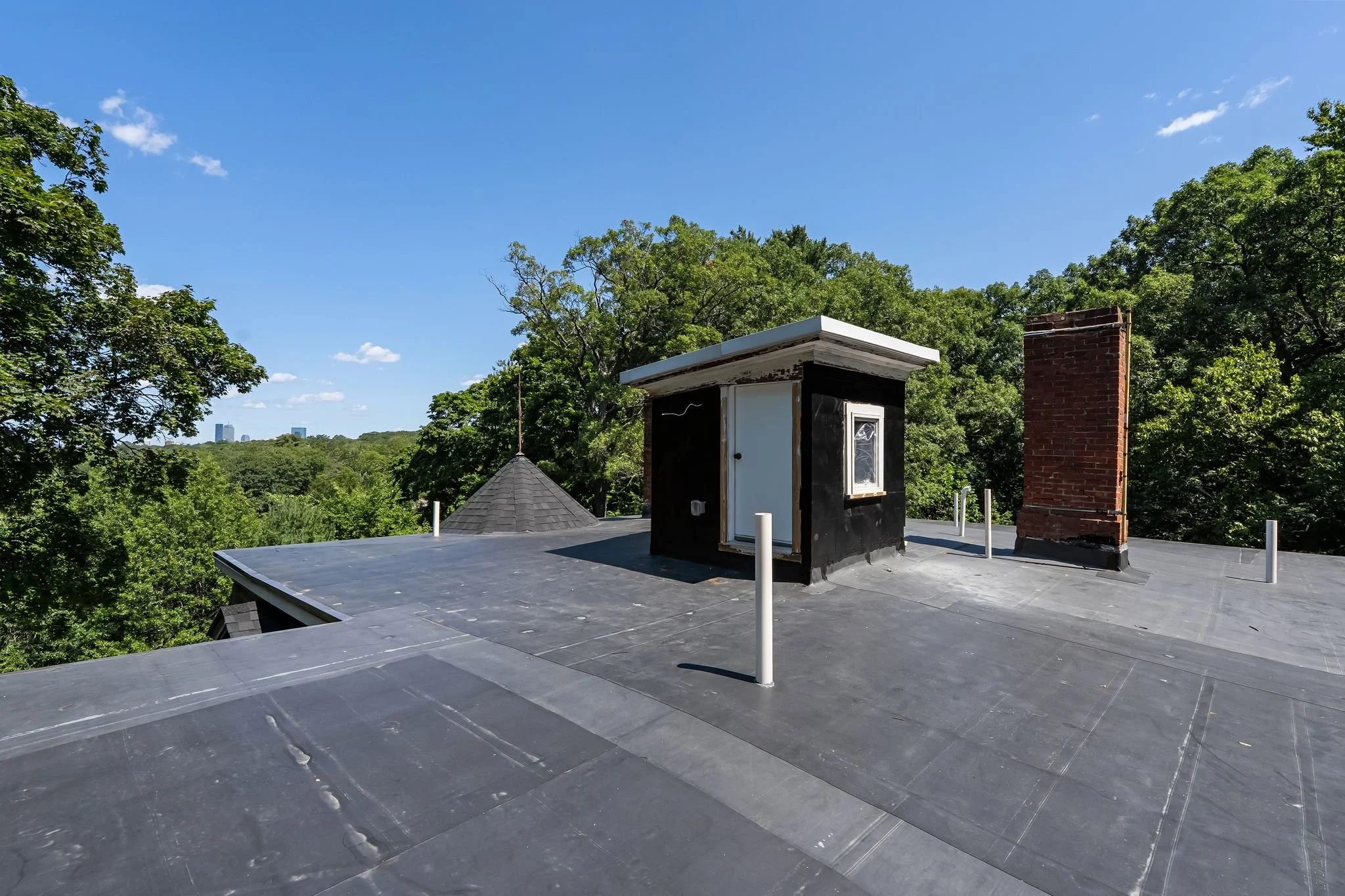 Yale Ter.-50.jpg