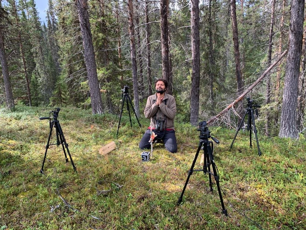 Sensory ecology with 3D tracking of movement and behaviour