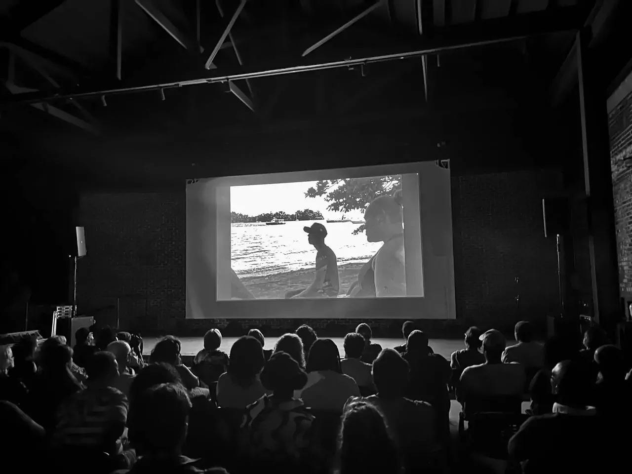 Photographic Nights of Selma