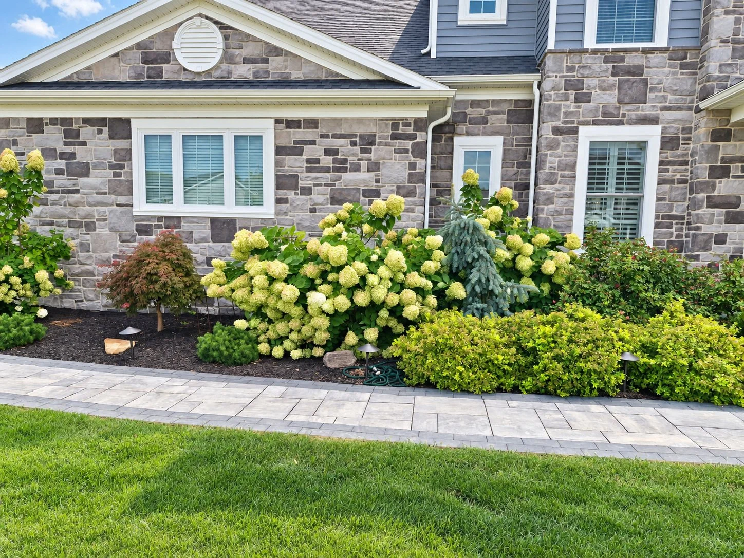 Front foundation planting bed with flowering shrubs