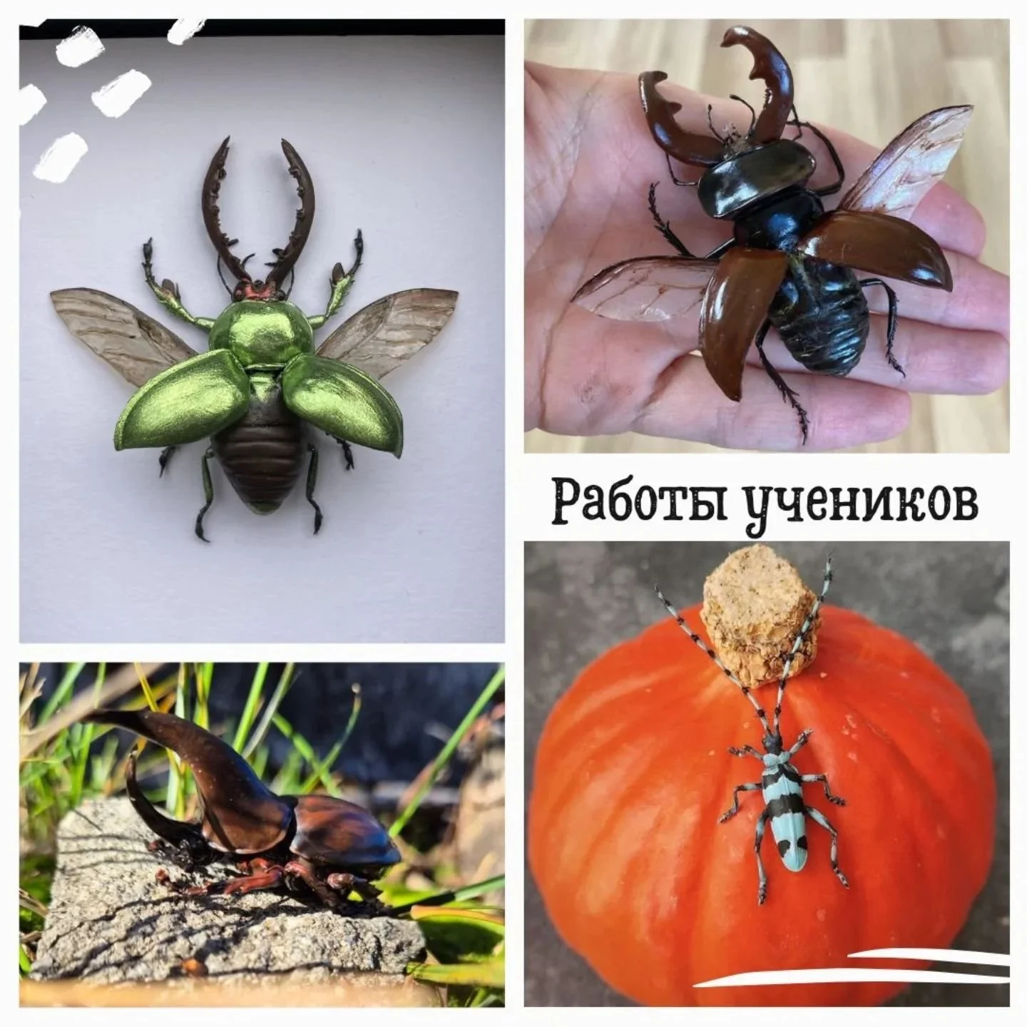 ОНЛАЙН КУРС ПО ЖУКАМ ИЗ ХОЛОДНОГО ФАРФОРА
______________________
Друзья, рада показать вам просто невероятные работы учеников моего онлайн курса по жукам из самозатвердеваемой гибкой глины ❤️

Я так рада видеть столько потрясающих работ! Честно говор