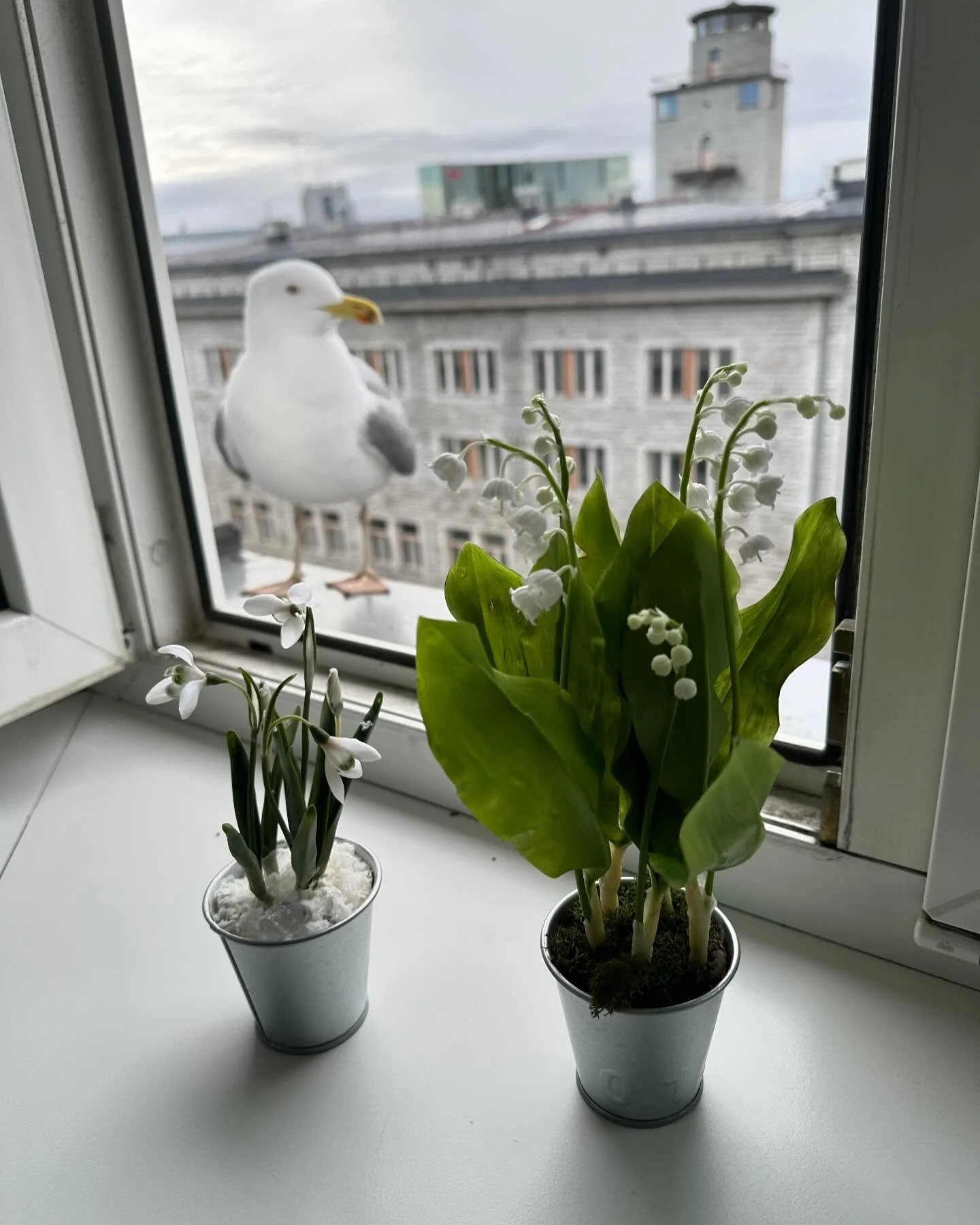 На память о моей любимой чайке в Таллинне ❤️
Мои ландыши и подснежники из холодного фарфора и старый друг - чайка Стив ❤️