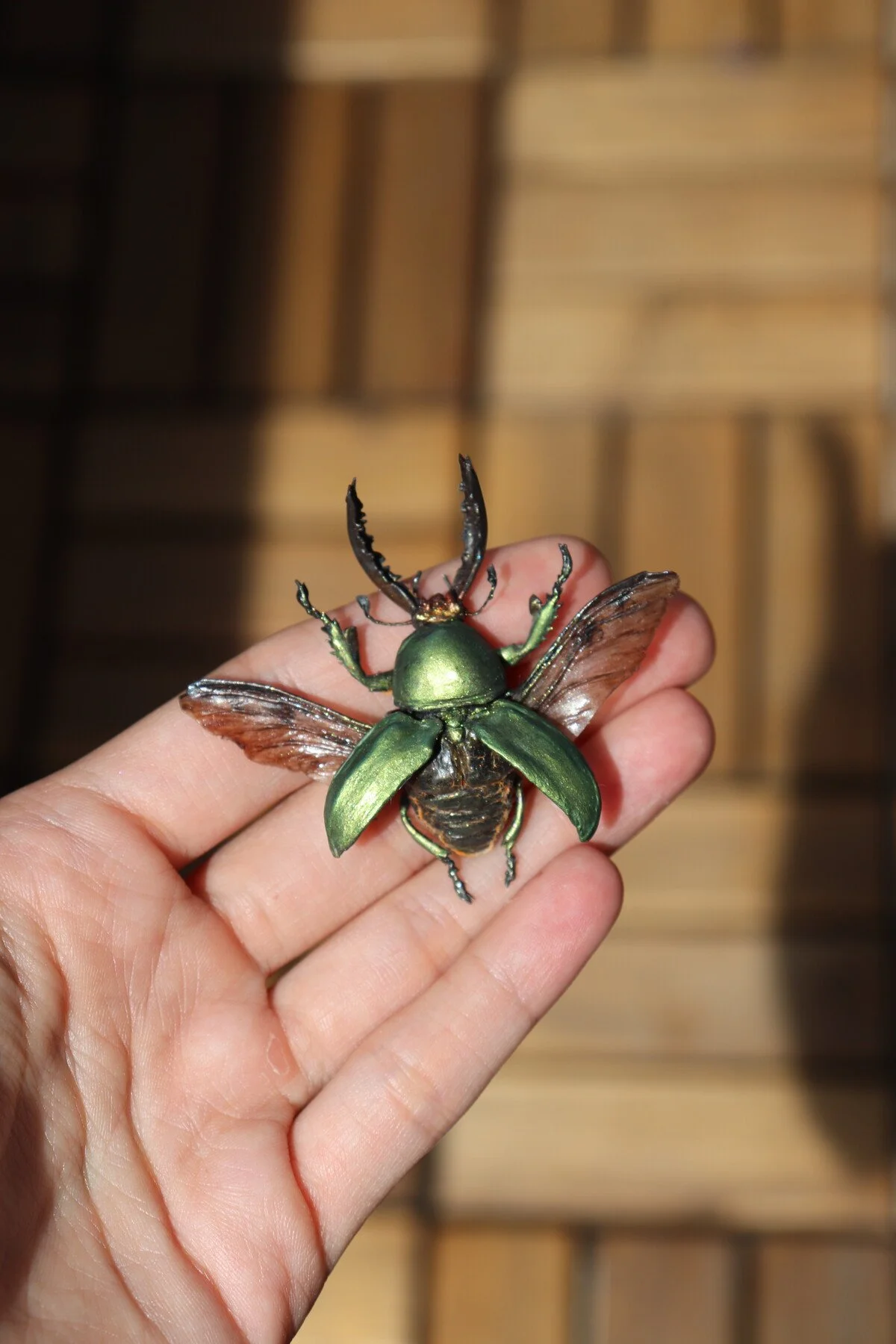 beetles-05.jpeg