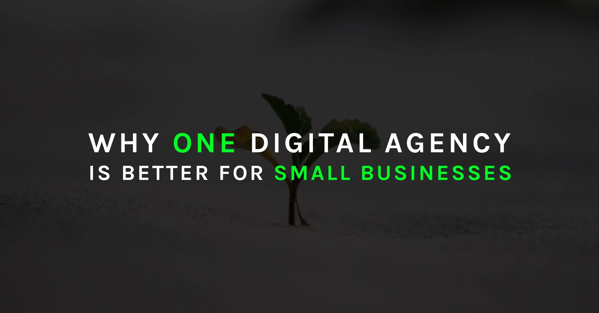 Website Design for Small Businesses: Why Branding and Web Design Services Work Better with One Digital Agency for Small Businesses