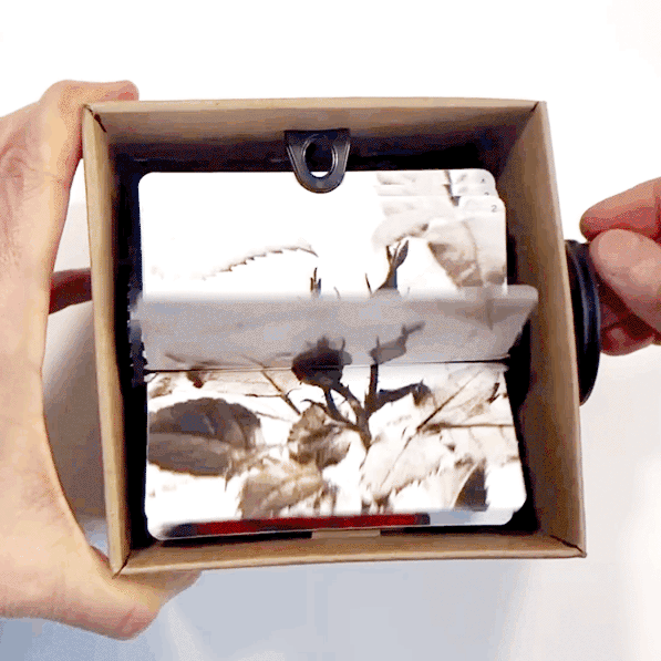 Fliposcope 