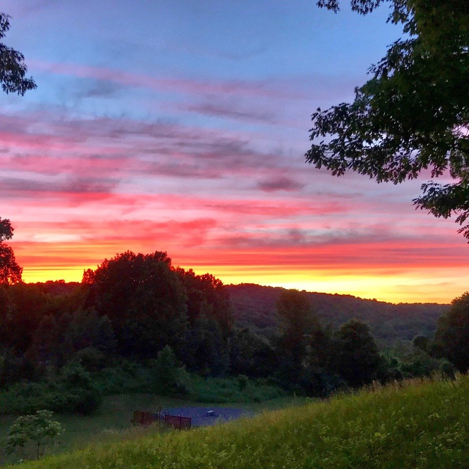 BACKYARD VIEW 10-10-2019 2.jpg