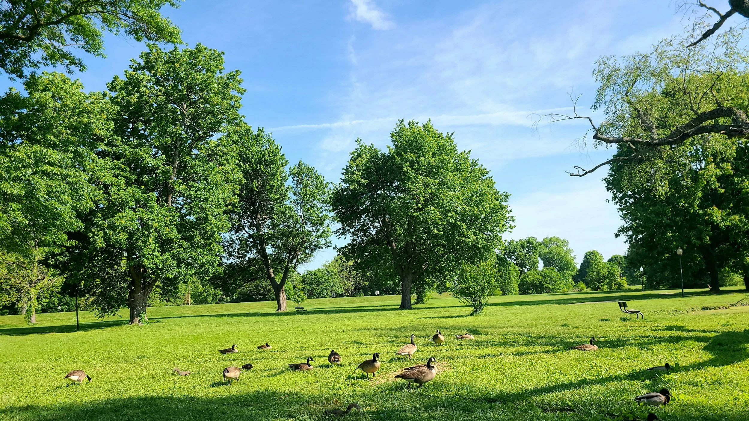 Why Cherokee Park, Louisville Is the Best Place to Build Your Dream Home
