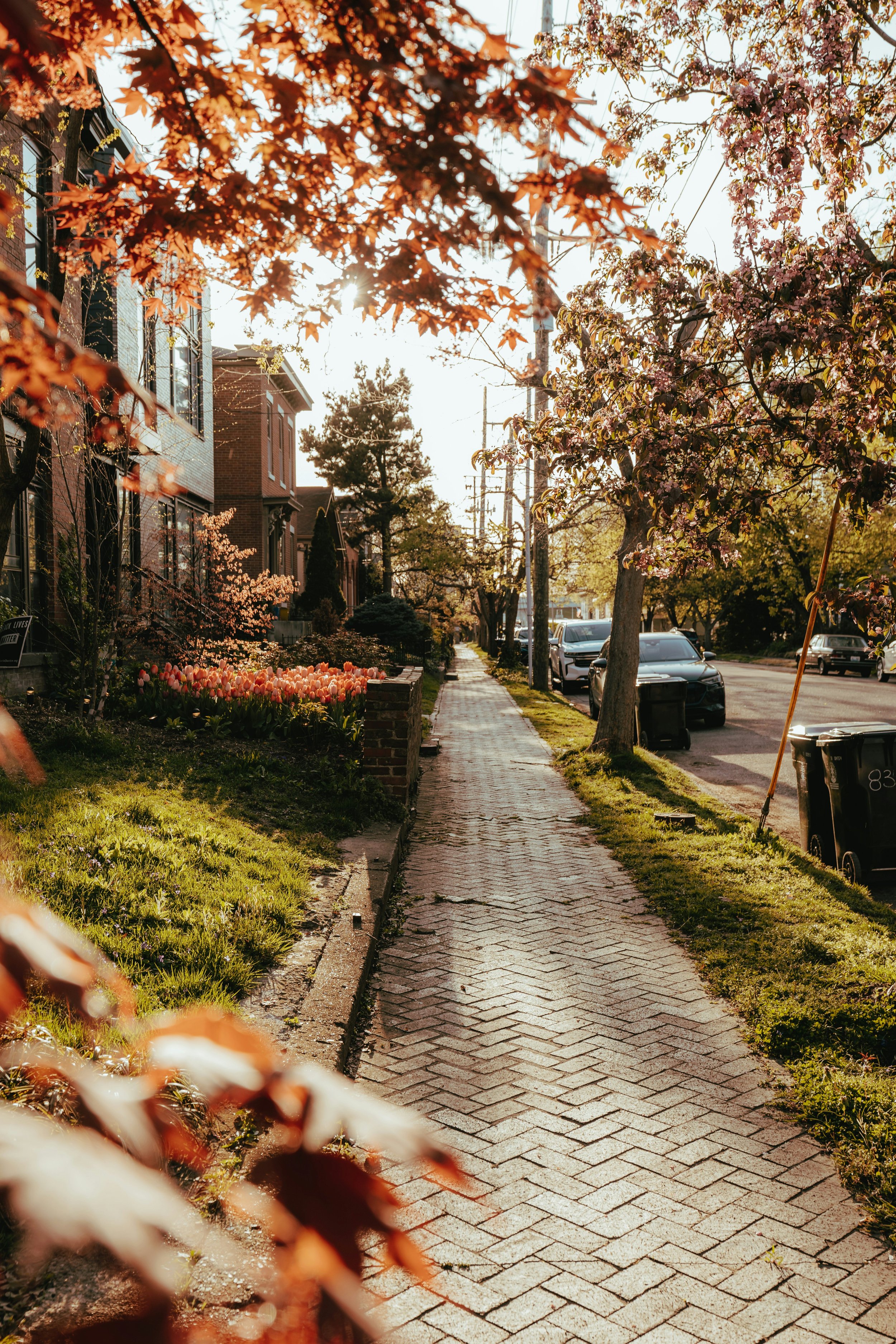 a beautiful sidewalk in the highlands, Louisville KY