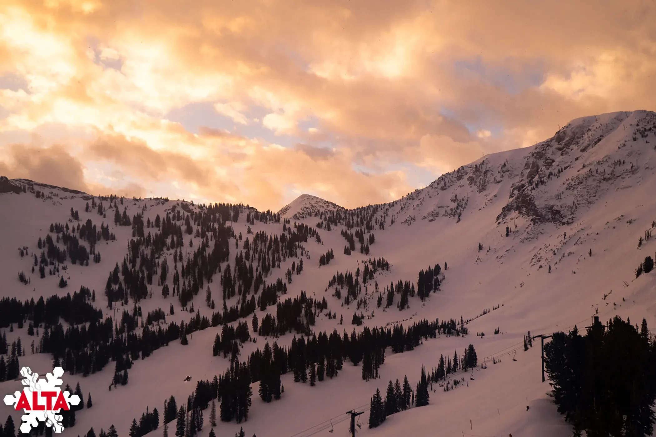 alta.webp