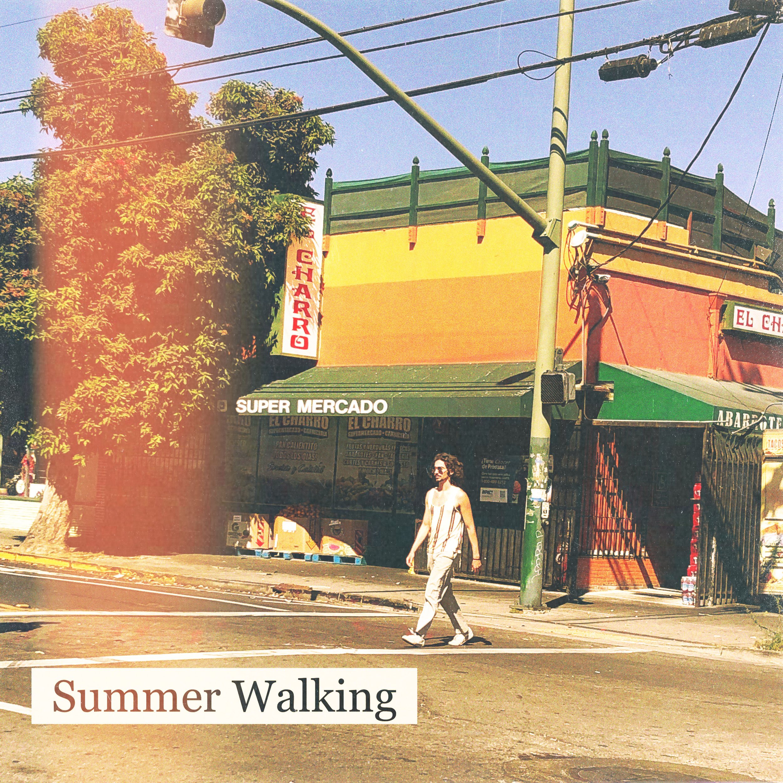 "Summer Walking" - Cover
Digital Collage
August 2022