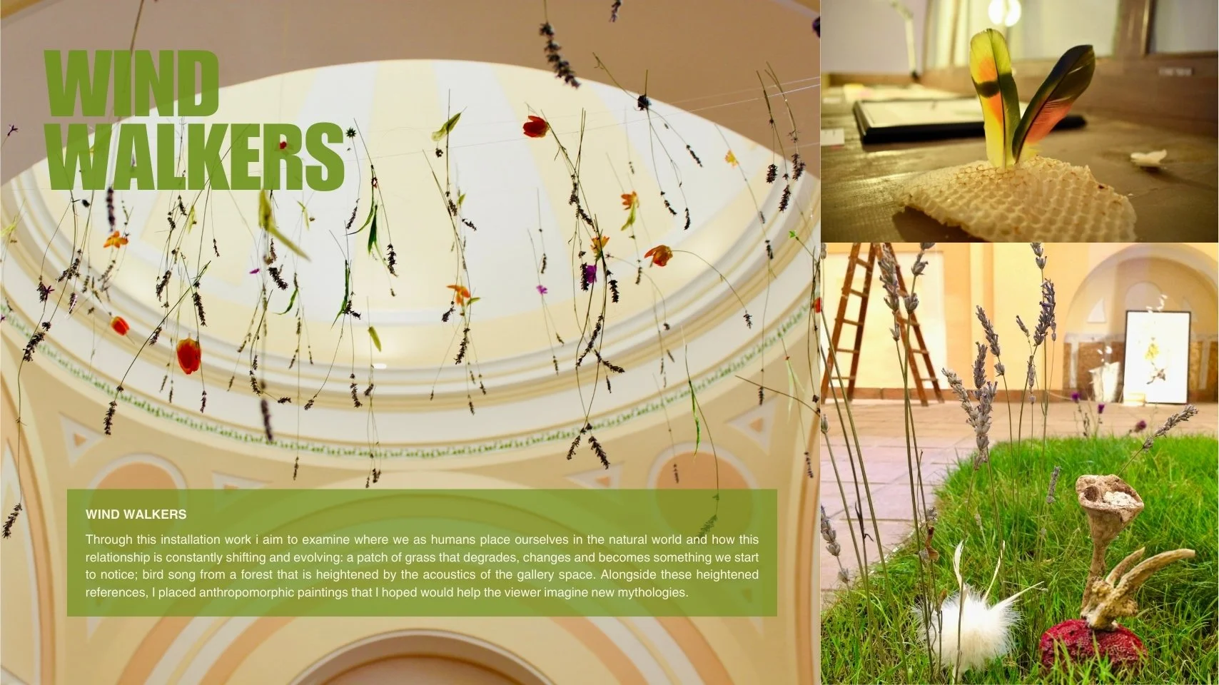 Portfolio Violeta Bravo 2025 (Sitio web) - 11.jpeg