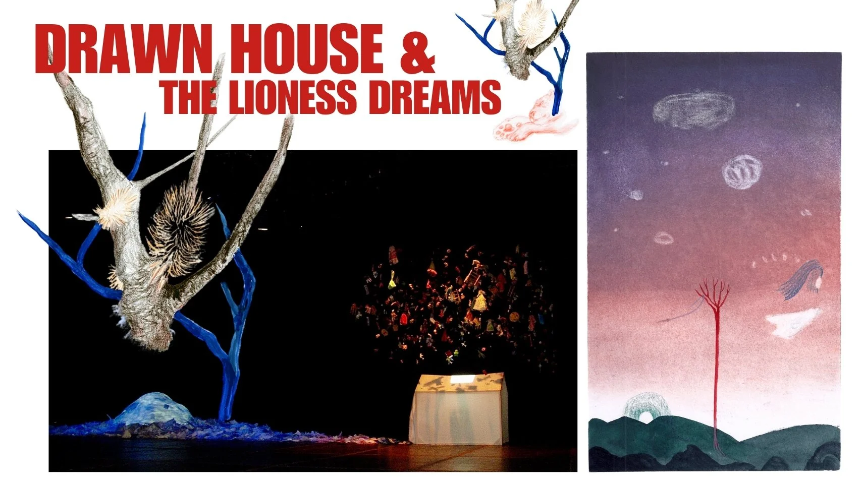 Portfolio Violeta Bravo 2025 (Sitio web) - 5.jpeg