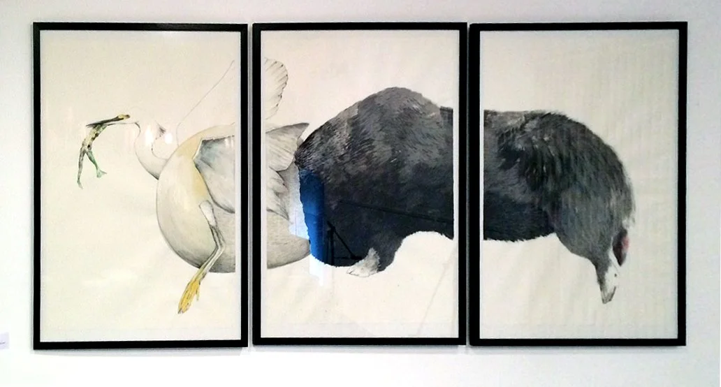 Light from ashes, frame.jpg