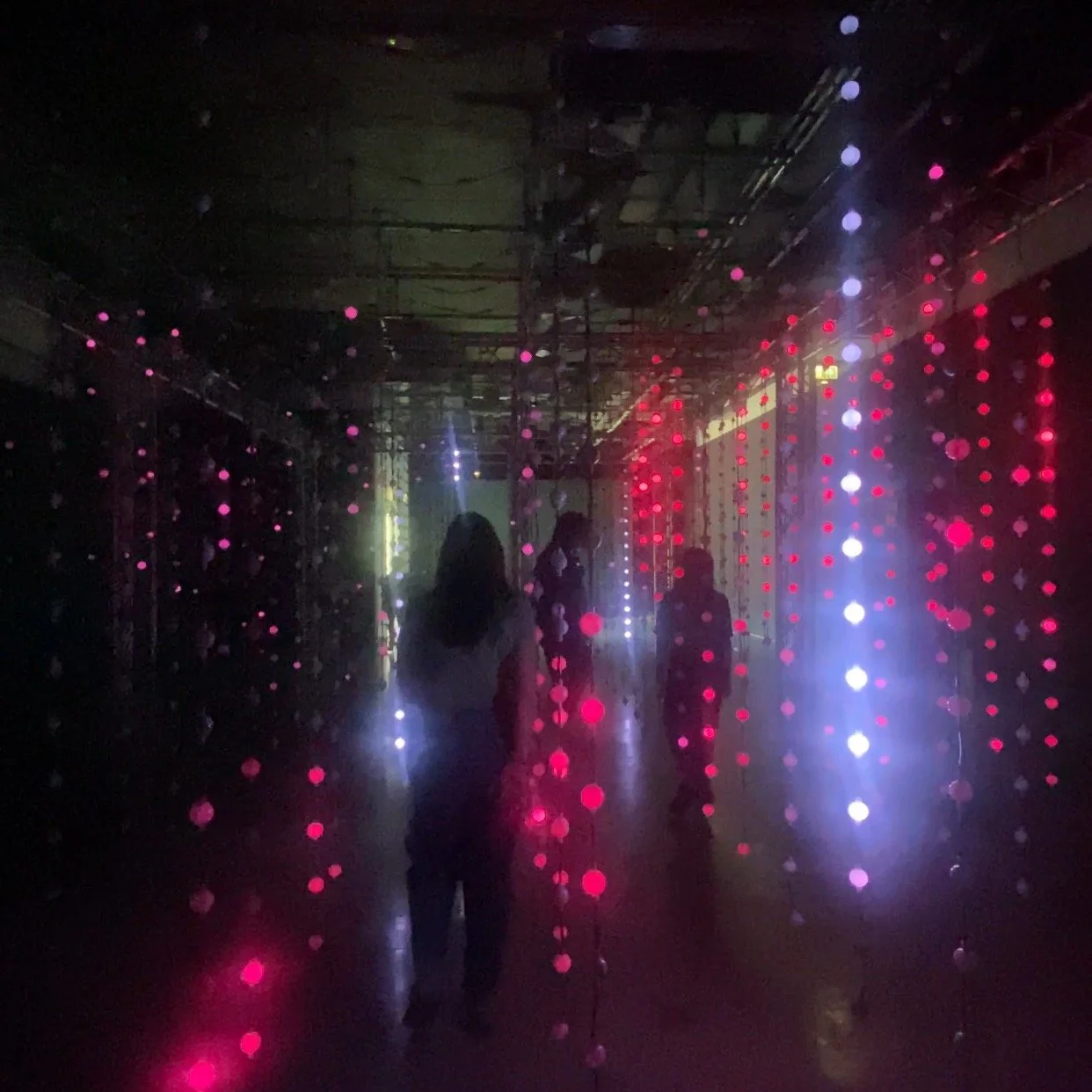 From workshop participants to The ACE Team! 💜

Swipe to see highlights from our celebration day:
&rarr; Interactive art at Plymouth University
&rarr; Behind the scenes at Soundart FM
&rarr; Young heritage champions in action

Their journey from work