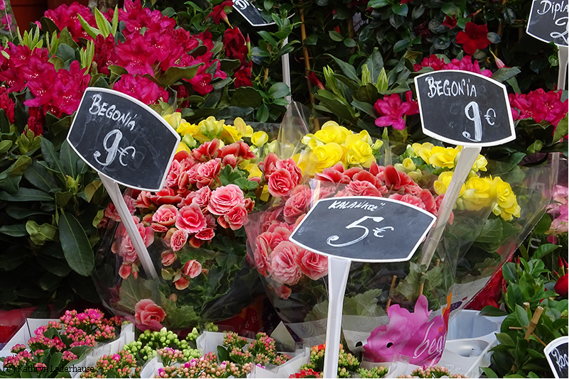French Flower Market.png