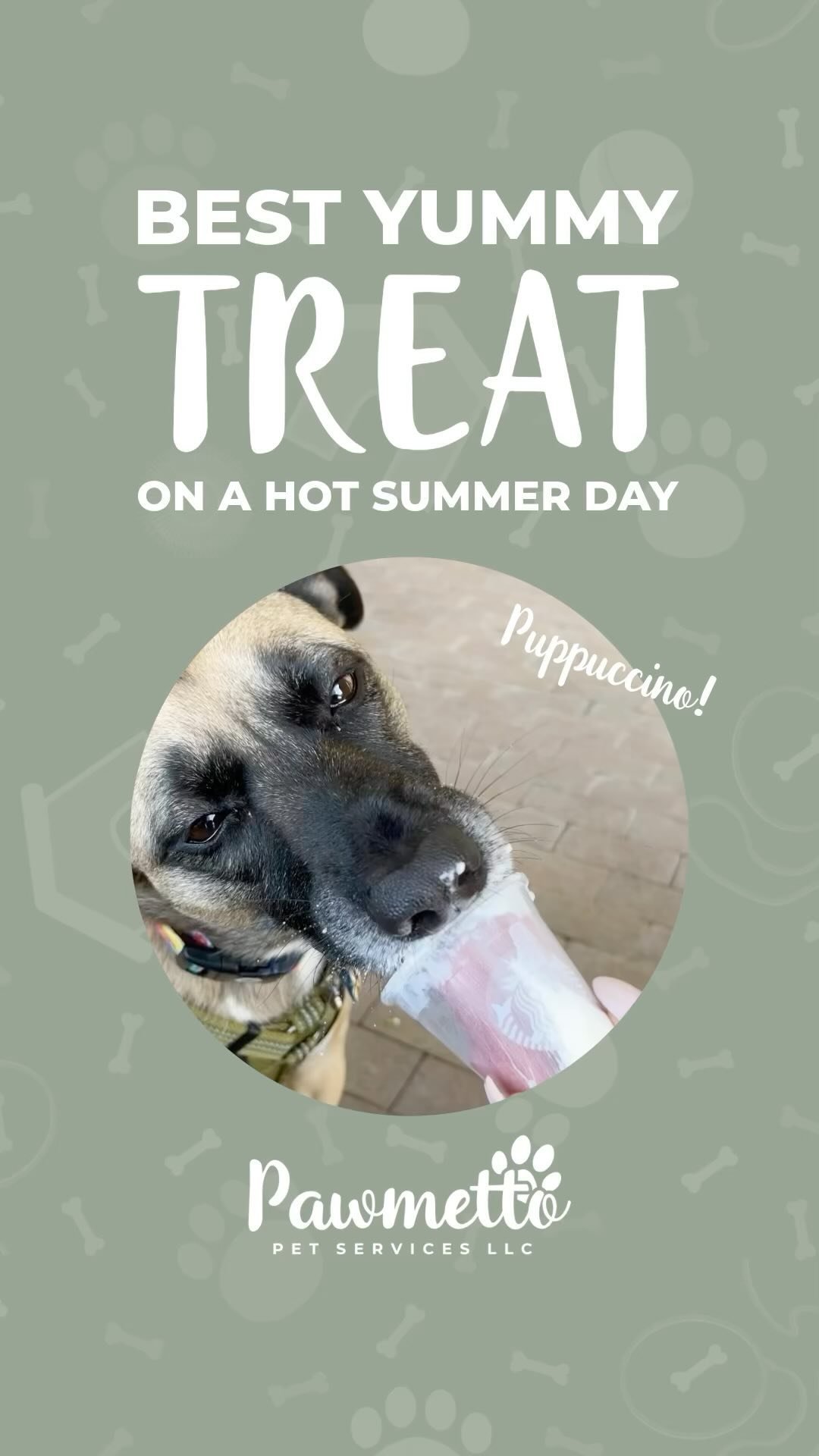 What’s one of the best treats on a hot, hot summer day? A puppuccino from @starbucks , of course!
.
.
.
#BlufftonPetSitter #BlufftonPets #BlufftonDogSitter #BlufftonDogWalker #BlufftonDogWalking #BlufftonDogDaycare #BlufftonDogs #DogsOfBluffton