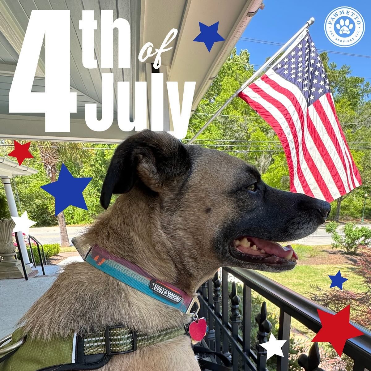 Happy 4th of July! πΊπΈ Wishing everyone a fun-filled day! And because we’re all about the wellbeing of animals here at Pawmetto... don’t forget to create a safe feeling environment and experience for your pets today. π«Ά
.
.
.
#BlufftonPe