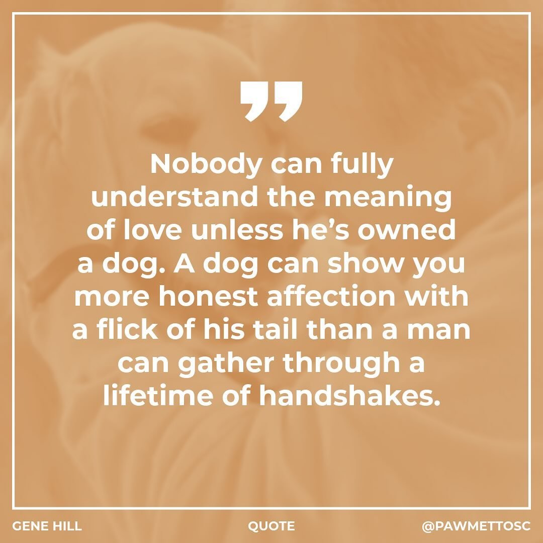 “Nobody can fully understand the meaning of love unless he’s owned a dog. A dog can show you more honest affection with a flick of his tail than a man can gather through a lifetime of handshakes.” — Gene Hill
.
.
.
#BlufftonPe