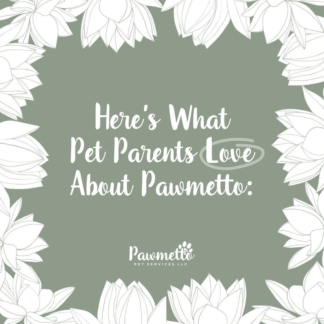 Each workday we want to keep tails wagging and pet parents smiling! See what our clients are loving about Pawmetto... π
.
.
.
#BlufftonPetSitter #BlufftonPets #BlufftonDogSitter #BlufftonDogWalker #BlufftonDogWalking #BlufftonDogDaycare #BlufftonDog