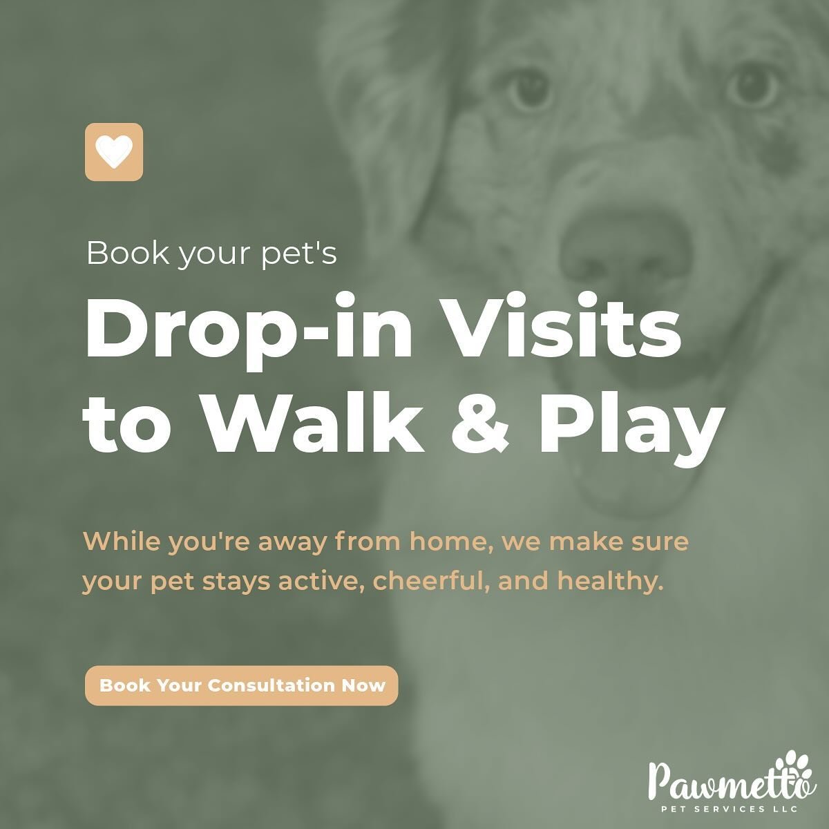 When we can’t be home to take care of our sweet companions, that can be so stressful.
It’s almost like we can feel their dependence, boredom, and anxiety building the longer we’re away, making it hard to focus and be present outsi