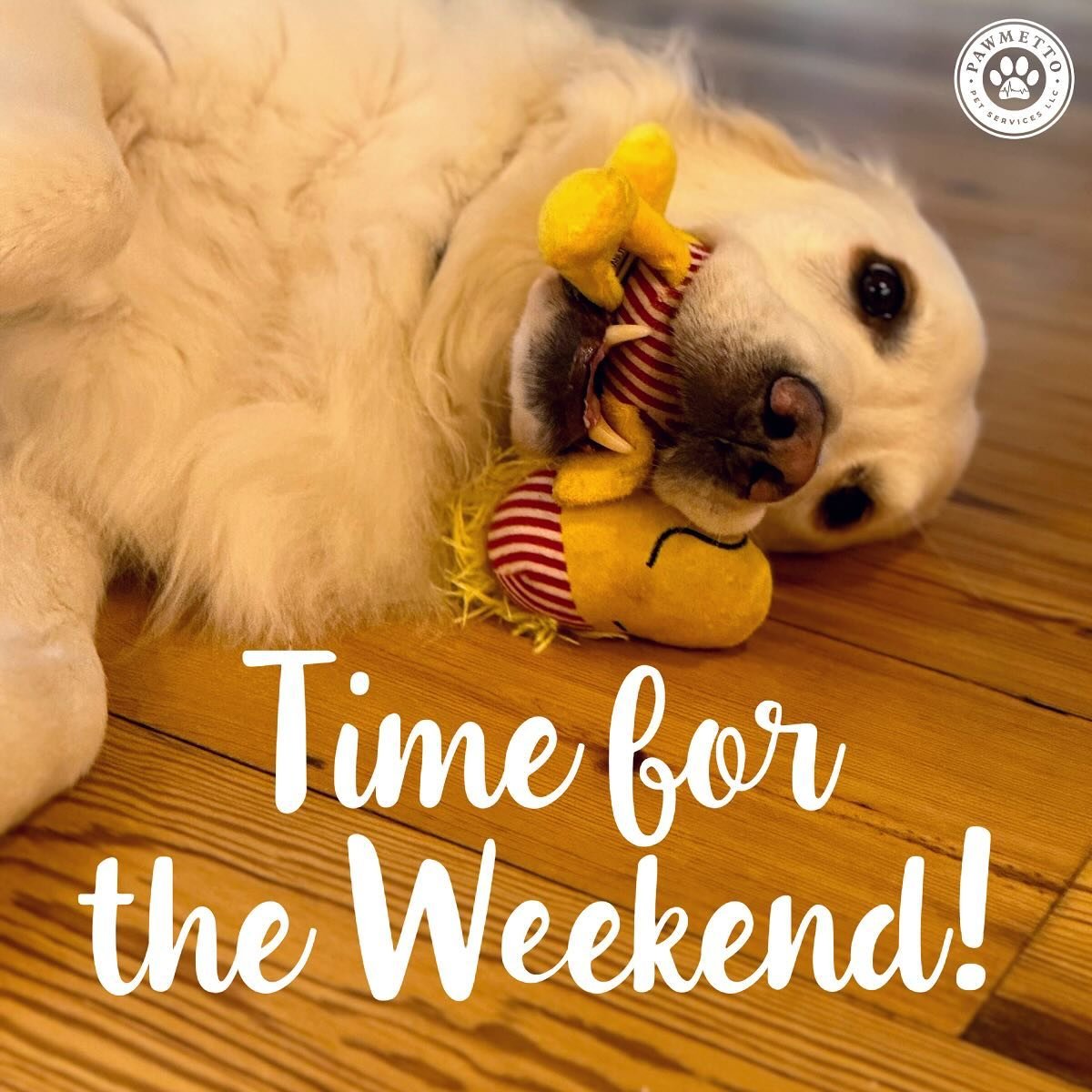 Ahh yes, finally Friday! Time to play with our fur babies and get ready for a great weekend. Let us know down in the comments something fun you have planned with your pets! πΎπ΄βοΈ
.
.
.
#BlufftonPetSitter #BlufftonPets #BlufftonDogSitter #BlufftonDog