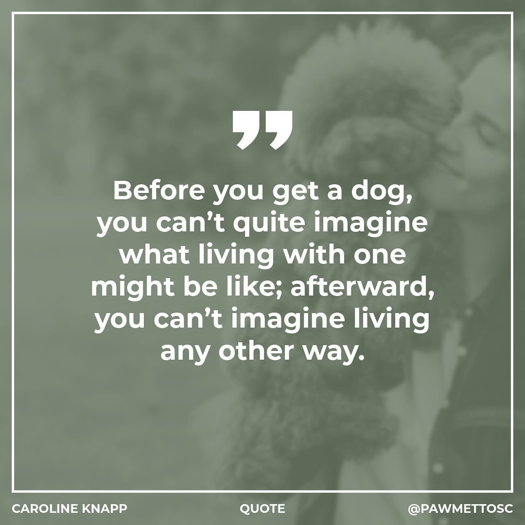 “Before you get a dog, you can’t quite imagine what living with one might be like; afterward, you can’t imagine living any other way.” — Caroline Knapp
.
.
.
#BlufftonPetSitter #BlufftonPets #BlufftonDogSitter #BlufftonD