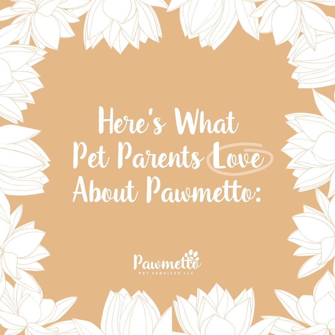 At Pawmetto, we go above and beyond at making sure pets stay joyful, active, and healthy. But we also find this incredibly important: making sure their owners feel just as great while they’re away from home. See what clients are saying about ho
