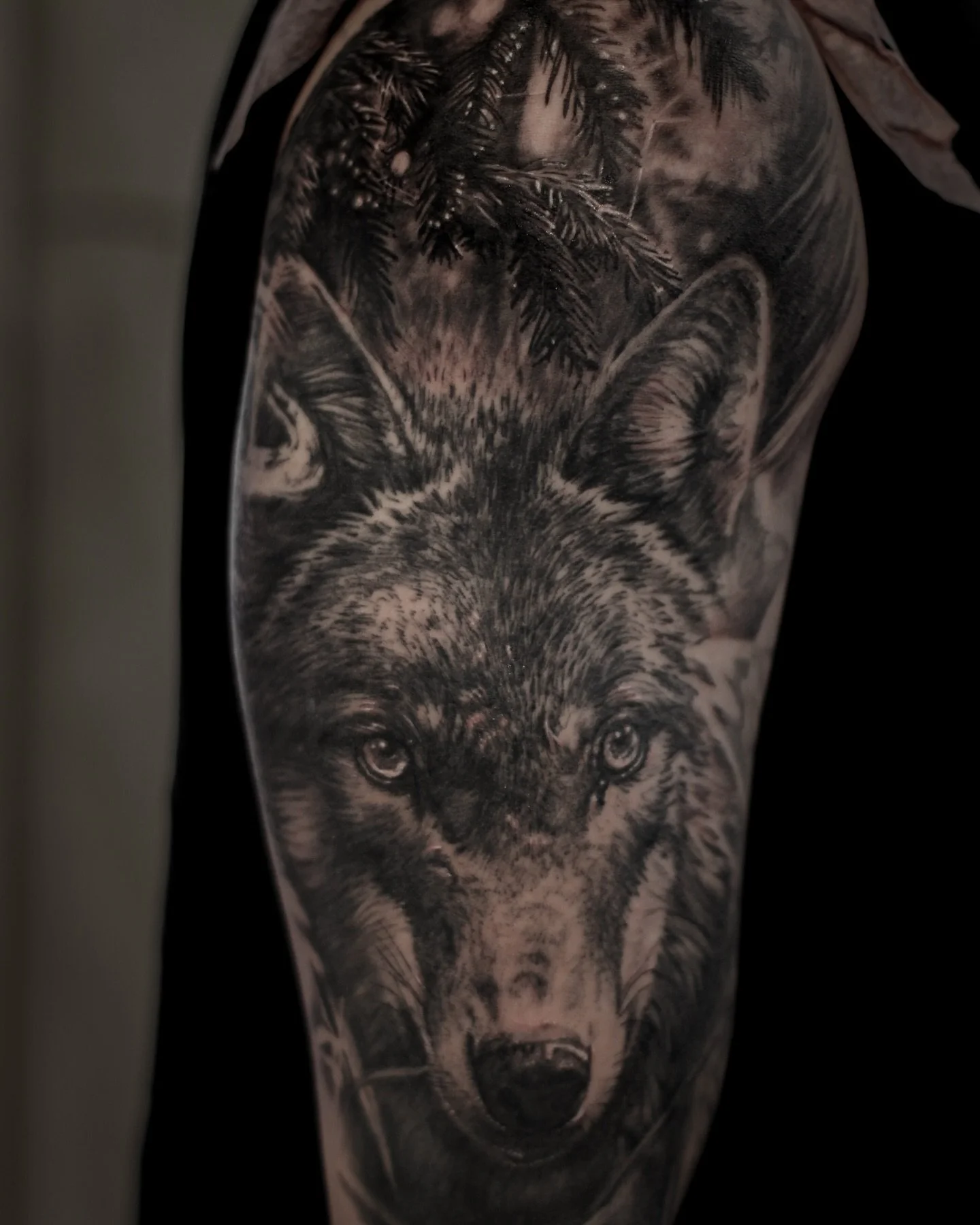 Wolfie for @erik.narloch always thank you for the trust and freedom of creating!
