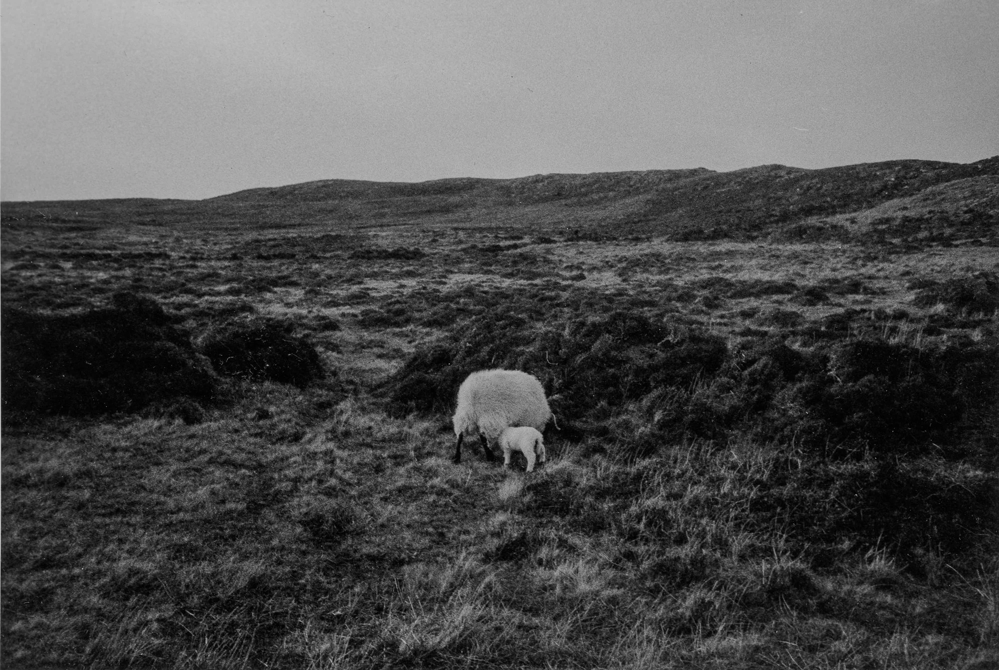 Documentation No. 2.jpg